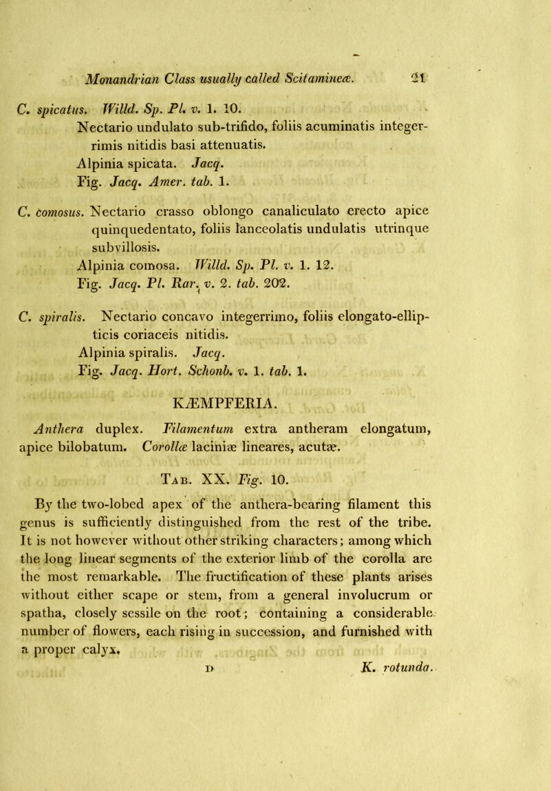 C. spicatus. Willd. Sp. PL v. 1. 10. Nectario undulato sub-trifido, foliis acuminatis integer- rimis nitidis basi attenuatis. Alpinia spicata. Jacq. Fig. Jacq. Amer. tab. 1. C. comosus. Nectario crasso oblongo canaliculate erecto apice quinquedentato, foliis lanceolatis undulatis utrinque subvillosis. Alpinia comosa. IVilld. Sp. PI. v. 1. 12. Fig. Jacq. PL Par.^ v. 2. tab. 202. C. spiralis. Nectario concave integerrimo, foliis elongato-ellip- ticis coriaceis nitidis. Alpinia spiralis. Jacq. Fig. Jacq. Hort. Schonb. v. 1. tab. 1. KyEMPFERIA. Anthera duplex. Pilamentum extra antheram elongatum, apice bilobatum. Corollce laciniae lineares, acutae. Tab. XX. Fig. 10. Bj tbe two-lobed apex of the anthera-bearing filament this genus is sufficiently distinguished from the rest of the tribe. It is not however without other striking characters; among which the long linear segments of the exterior limb of the corolla are the most remarkable. The fructification of these plants arises without either scape or stem, from a general involucrum or spatha, closely sessile on the root ; containing a considerable number of flowers, each rising in succession, and furnished with a proper calyx. i> . K. rotunda.