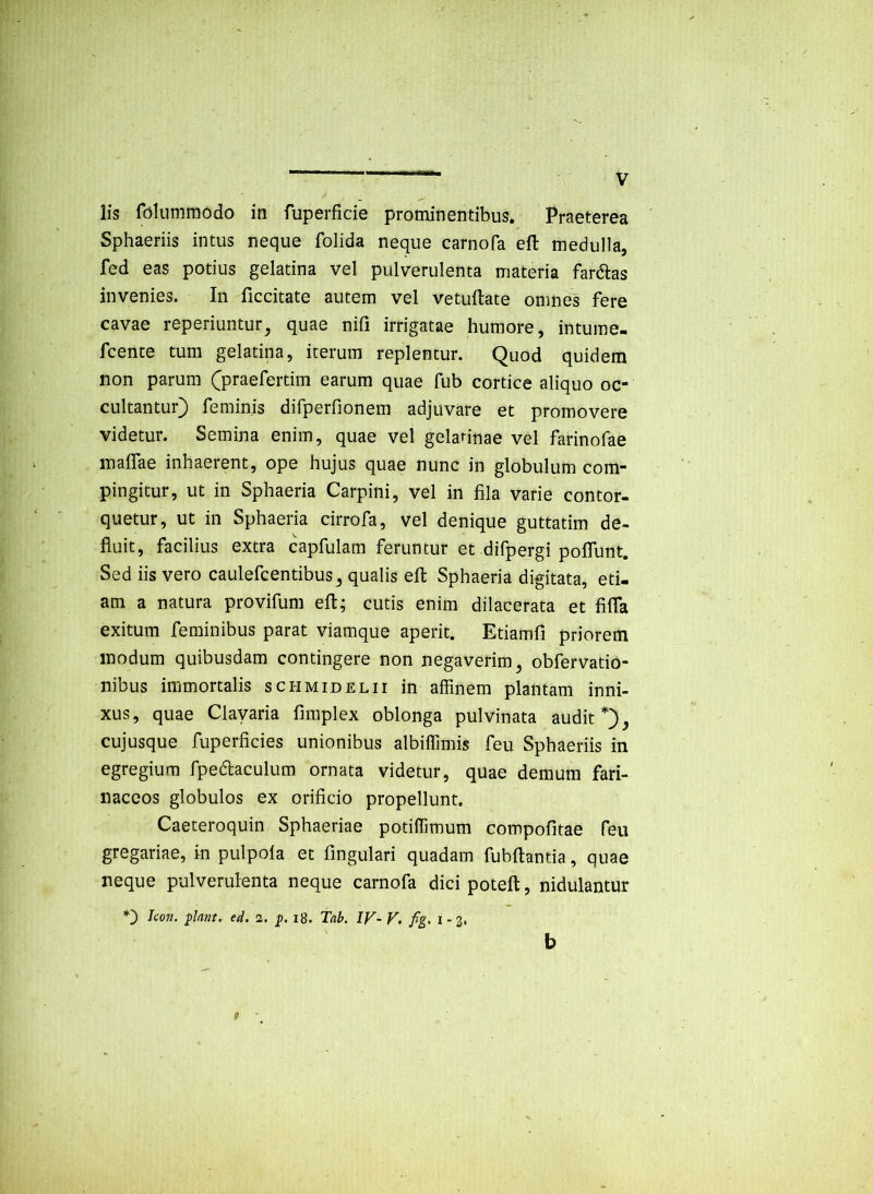 lis rc3liimraodo in fuperficie prominentibus. Praeterea Sphaeriis intus neque folida neque carnofa eft medulla, fed eas potius gelatina vel pulverulenta materia fardlas invenies. In ficcitate autem vel vetullate omnes fere cavae reperiuntur, quae nifi irrigatae humore, intume- fcente tum gelatina, iterum replentur. Quod quidem non parum (praefertim earum quae fub cortice aliquo oc- cultantur) feminis difperfionem adjuvare et promovere videtur. Semina enim, quae vel gelannae vel farinofae inalfae inhaerent, ope hujus quae nunc in globulum com- pingitur, ut in Sphaeria Carpini, vel in fila varie contor- quetur, ut in Sphaeria cirrofa, vel denique guttatim de- fluit, facilius extra capfulam feruntur et difpergi polTunt. Sed iis vero caulefcentibus, qualis eft Sphaeria digitata, eti- am a natura provifum eft; cutis enim dilacerata et fifta exitura feminibus parat viamque aperit. Etiamfi priorem modum quibusdam contingere non negaverim, obfervatio- nibus immortalis schmidelii in affinem plantam inni- xus, quae Clavaria fnnplex oblonga pulvinata audit*), cujusque fuperficies unionibus albiffimis feu Sphaeriis in egregium fpedaculum ornata videtur, quae demum fari- naceos globulos ex orificio propellunt. Caeteroquin Sphaeriae potiffimum compofitae feu gregariae, in pulpola et fingulari quadam fubftantia, quae neque pulverulenta neque carnofa dici poteft, nidulantur Icon, ed. 2. i8. Tab. IV- V. fg> I - 3. b