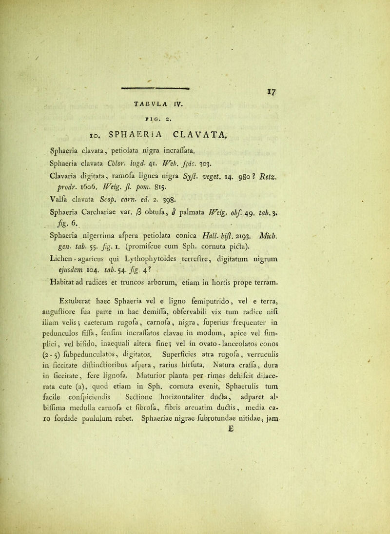 / 17 TABVLA IV. FIG. 2. 10. SPHAERiA CLAVATA, Spliaeria clavata, petiolata nigra incraflata. Sphaeria clavata Chlor. liigd- 41. Web. Jpic. 303. Clavaria digitata, ramofa lignea nigra Syji. veget. 14. 980 ? RetZ. prodr. 1606. fFeig. fl. pom. 815- Valfa clavata Scop. carn. ed. 2. 398. Sphaeria Carchariae var. j3 obtula, ^ palmata Weig. ohf. 4g. tab.^* fig. 6. Sphaeria nigerrima afpera petiolata conica Hali. hiji. 2193. Mich. gen. tab. 55. fig. i. (promifcue cum Sph. cornuta picT:a). Lichen - agaricus qui Lythophytoides terreftre, digitatum nigrum ejusdem 104. raZ?. 54. _/zg 4? Habitat ad radices et truncos arborum, etiam in hortis prope terram. Extuberat haec Sphaeria vel e ligno femiputrido, vel e terra, angufliore fua parte m hac demida, obfervabili vix tum radice nifi illam velis; caeterum rugofa, carnofa, nigra, fuperius frequenter in pedunculos filTa, fenfim incradatos clavae in modum, apice vel fim- plici, vel bifido, inaequali altera fine; vel in ovato - lanceolatos conos (2- 5) fubpedunculatos, digitatos. Superficies atra rugofa, verruculis in ficcitate diftindtioribus afpera, rarius hirfuta. Natura crafla, dura in ficcitate, fere lignofa. Maturior planta per rimas dehifcit dilace- rata cute (a), quod etiam in Sph. cornuta evenit. Sphaerulis tum facile confpiciendts Sedtione horizontaliter dudla, adparet al- biffima medulla carnofa et fibrofa, fibris arcuatim dudtis, media ca- ro fordide paululum rubet. Sphaeriae nigrae fubrotundae nitidae, jam E