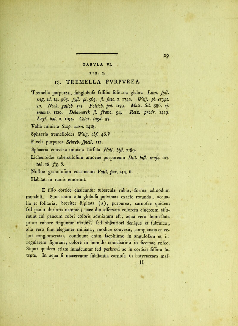 TABVLA VI. , FIG. 2. 18. TREMELLA PVRPVREA. Trcmella purpurea, fubglobofa fefUlis folitaria glabra Lim. fyfl^ veg. ed. 14. 965. Jyft. pl. 565, jl. fuec. 2. 1742. IVeiJ. pl. irypt. 30. Neck. gallob. 523. Pollich. pal. 1139. Matt. Sil. 886. ej. enumer. 1120. Delamarck fi. franc. 94. Retz. prodr. 1429. Leyf. hal. 2, 1194. Chlor. lugd. 37- Valfa miniata Scop. carn. 1418* Sphaeria tremelloides Weig> ohf. 46.? Elvela purpurea Schreb. fpicil. 112. Sphaeria convexa miniata hirfuta Hali. biji. 2189. Lichenoides tubcrculofum amoene purpureum Dill. hijt. mufc. 127. tab. 18. fig- 6. Noftoc granulofum coccineum Vaill. par. 144. 6. Habitat in ramis emortuis. E filTo cortice enafcuntur tubercula rubra ^ forma admodum mutabili. Sunt enim alia globofa pulvinata exade rotunda, aequa- lia et folitaria, breviter ftipitata (a), purpurea, carnofae quidem fcd paulo durioris naturae 5 haec diu aflervata colorem cinereum affu- munt cui paucum rubri coloris admixtum efl, aqua vero humedata priori rubore tinguntur iterudi',' fed obfcuriori denique et fubfufco; alia vero funt eleganter miniata, modice convexa, complanata et ve- luti conglomerata} confluunt enim faepiflime in angulofam et ir- regularem figuram} colore in humido cinnabarino in ficcitate rofeo. Stipiti quidem etiam innafcuntur fed perbrevi ac in corticis filfura la- tente. In aqua fi macerentur fubfiantia carnofa in butyraceam maf- H ,