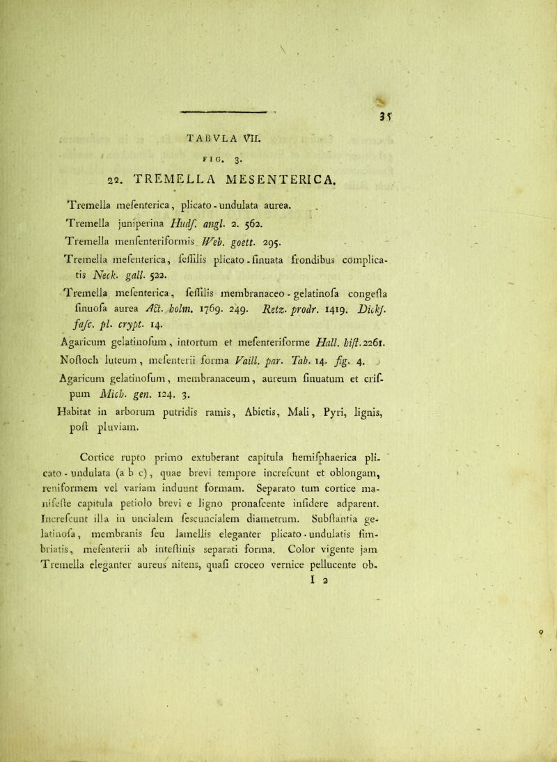 FIG. 3. 22. TREMELLA MESENTERICA. Tremeila mefenterica, plicato - undulata aurea. Tremella juniperina Hudf. angi. 2. 562. Tremeila menrenteriformis goett. 295. Tremella mefenterica, fcHilis plicato -finuata frondibus complica- tis Neck. gall. 522. Tremella mefenterica, feffilis membranaceo - gelatinofa congefla fmuofa aurea Att. holm. 1769. 249. Retz. prodr. 1419. DkbJ. fajc. pl. crypt. 14. Agaricum gelatinofum, intortum et mefenteriforme Hali, hifi.2261. Nofloch luteum , mefenterii forma Faill. par. Tab. 14. fig. 4. Agaricum gelatinofum, membranaceum, aureum linuatum et crif- pum Mich. gen. 124. 3. Habitat in arborum putridis ramis. Abietis, Mali, Pyri, lignis, pofl pluviam. Cortice rupto primo extuberant capitula hemifphaerica pii. cato - undulata (a b c), quae brevi tempore increlcunt et oblongam, reniformem vel variam induunt formam. Separato tum cortice ma- nifefte capitula petiolo brevi e ligno pronafcente infidere adparent. Increfcunt illa in uncialem fcscuncialem diametrum. Subftantia ge- latinola, membranis feu lamellis eleganter plicato • undulatis fim- briatis, mefenterii ab intefiinis separati forma. Color vigente jam Tremella eleganter aureus nitens, quafi croceo vernice pellucente ob.