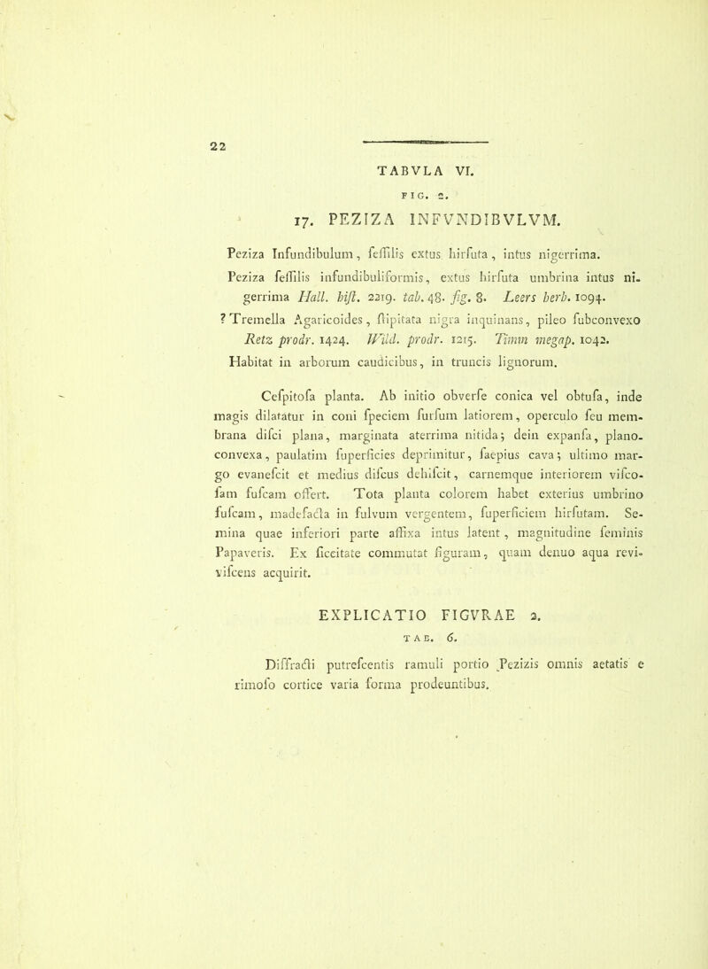 TABVLA VI. FIG. 2. 17. PEZIZA INFVNDIBVLVM. Peziza Infundibulum, feffilis cxtus hirfula , intus nigerrima. Peziza felTilis infundibuliformis, extus hirfuta umbrina intus ni- gerrima HalL hiji. 2219. tab. 48. fg. 8. Leers berb. 1094. ?Tremella Agaricoides , flipitata nigra inquinans, pileo fubconvexo Retz prodr. 1424. fFild. prodr. 1215. Timm megap, 1042. Habitat in arborum caudicibus, in truncis lignorum. Cefpitofa planta. Ab initio obverfe conica vel obtufa, inde magis dilatatur in coni fpeciem fuiTum latiorem, operculo feu mem- brana difei plana, marginata aterrima nitida; dein expanfa, plano- convexa, paulatim fuperficies deprimitur, faepius cava; ultimo mar- go evanefeit et medius dilcus delilfcit, carnemque interiorem vifeo- fam fufeam offert. Tota plauta colorem habet exterius umbrino fufeam, madefadla in fulvum vergentem, fuperficiem hirfutam. Se- mina quae inferiori parte affixa intus latent , magnitudine feminis Papaveris. Ex ficcitate commutat figuram, quam denuo aqua revi- vifeens acquirit. EXPLICATIO FIGVRAE 2. TAE. 6. Diffradli putrefeentis ramuli portio ^Pezizis omnis aetatis e rimofo cortice varia forma prodeuntibus.