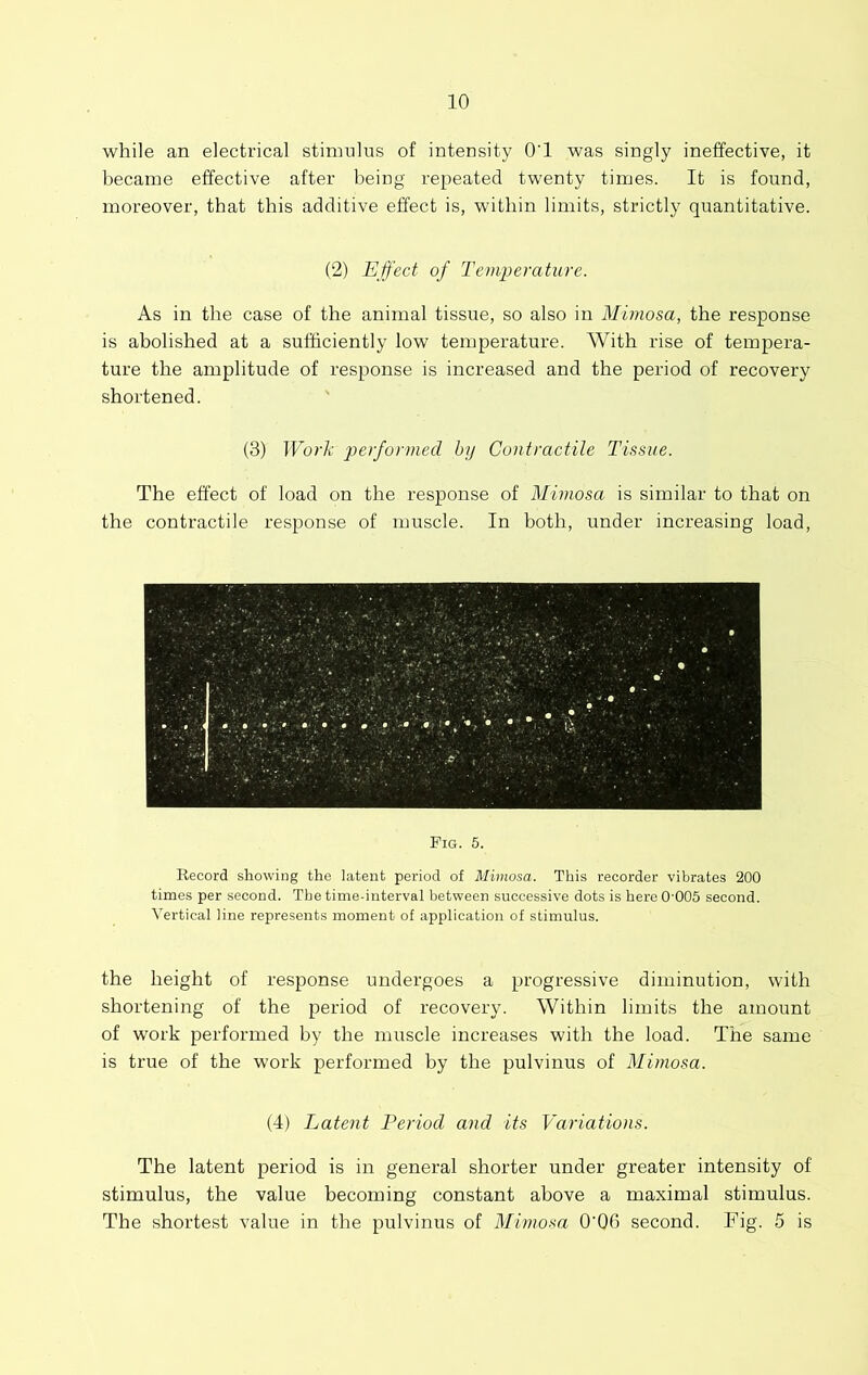 while an electrical stimulus of intensity O’l was singly ineffective, it became effective after being repeated twenty times. It is found, moreover, that this additive effect is, within limits, strictly quantitative. (2) Effect of Temperature. As in the case of the animal tissue, so also in Mimosa, the response is abolished at a sufficiently low temperature. AVith rise of tempera- ture the amplitude of response is increased and the period of recovery shortened. (3) Work performed by Contractile Tissue. The effect of load on the response of Mimosa is similar to that on the contractile response of muscle. In both, under increasing load. Fig. 5. Record showing the latent period of Mimosa. This recorder vibrates 200 times per second. The time-interval between successive dots is here 0'005 second. Vertical line represents moment of application of stimulus. the height of response undergoes a progressive diminution, with shortening of the period of recovery. Within limits the amount of work performed by the muscle increases with the load. The same is true of the work performed by the pulvinus of Mimosa. (4) Latent Period and its Variations. The latent period is in general shorter under greater intensity of stimulus, the value becoming constant above a maximal stimulus. The shortest value in the pulvinus of Mimosa 0‘06 second. Fig. 5 is