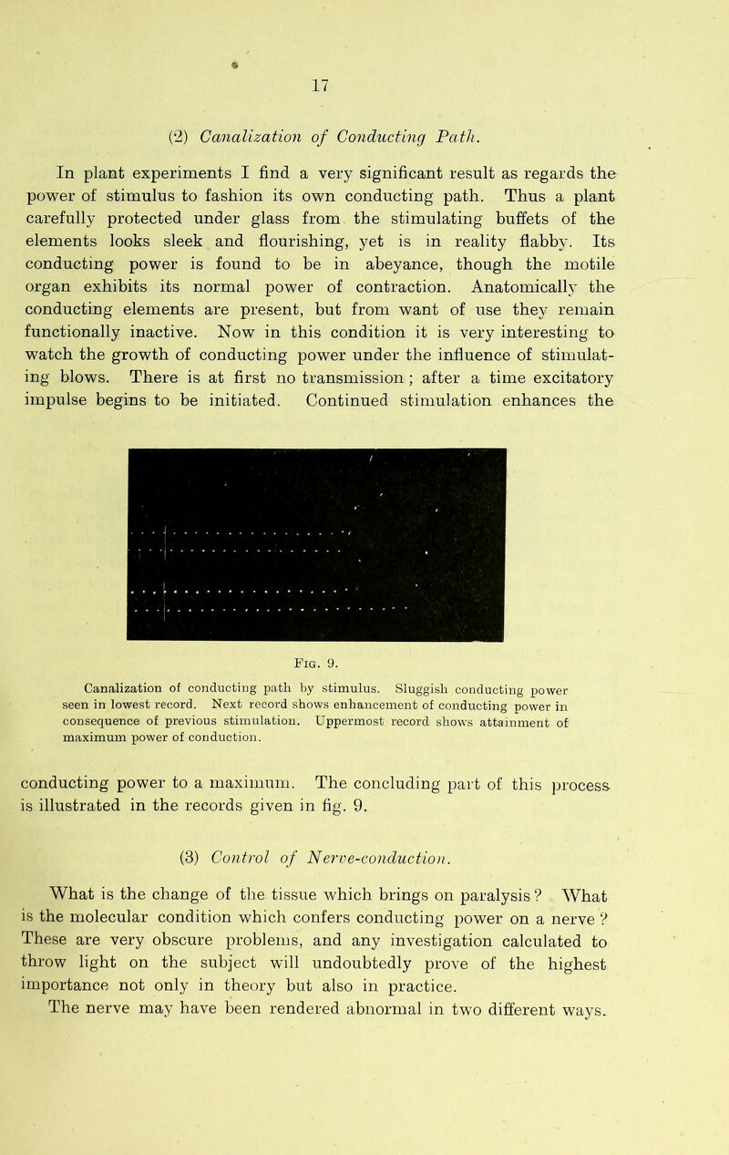 (‘2) Canalization of Conducting Path. In plant experiments I find a very significant result as regards the power of stimulus to fashion its own conducting path. Thus a plant carefully protected under glass from the stimulating buffets of the elements looks sleek and flourishing, yet is in reality flabby. Its conducting power is found to be in abeyance, though the motile organ exhibits its normal power of contraction. Anatomically the conducting elements are present, but from want of use they remain functionally inactive. Now in this condition it is very interesting to watch the growth of conducting power under the influence of stimulat- ing blows. There is at first no transmission; after a time excitatory impulse begins to be initiated. Continued stimulation enhances the Pig. 9. Canalization of conducting path by stimulus. Sluggish conducting power seen in lowest record. Next record shows enhancement of conducting power in consequence of previous stimulation. Uppermost record shows attainment of maximum power of conduction. conducting power to a maximum. The concluding part of this process, is illustrated in the records given in fig. 9. (3) Control of Nerve-conduction. What is the change of the tissue which brings on paralysis ? What is the molecular condition which confers conducting power on a nerve ? These are very obscure problems, and any investigation calculated to throw light on the subject will undoubtedly prove of the highest importance not only in theory but also in practice. The nerve may have been rendered abnormal in two different ways.