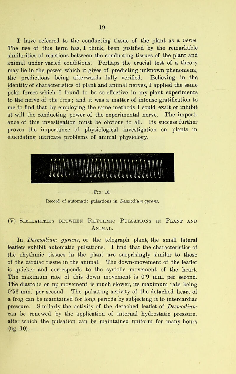 I have referred to the conducting tissue of the plant as a nerve. The use of this term has, I think, been justified by the remarkable similarities of reactions between the conducting tissues of the plant and animal under varied conditions. Perhaps the crucial test of a theory may lie in the power which it gives of predicting unknown phenomena, the predictions being afterwards fully verified. Believing in the identity of characteristics of plant and animal nerves, I applied the same polar forces which I found to be so effective in my plant experiments to the nerve of the frog; and it was a matter of intense gratification to me to find that by employing the same methods I could exalt or inhibit at will the conducting power of the experimental nerve. The import- ance of this investigation must be obvious to all. Its success further proves the importance of physiological investigation on plants in elucidating intricate problems of animal physiology. Fig. 10. Eecord of automatic pulsations in Desmodium gyrans. (V) SiMILABITIES BETWEEN KhYTHMIC PULSATIONS IN PLANT AND Animal. In Desmodium gyrans, or the telegraph plant, the small lateral leaflets exhibit automatic pulsations. I find that the characteristics of the rhythmic tissues in the plant are surprisingly similar to those of the cardiac tissue in the animal. The down-movement of the leaflet is quicker and corresponds to the systolic movement of the heart. The maximum rate of this down movement is 0’9 mm. per second. The diastolic or up movement is much slower, its maximum rate being 0’56 mm. per second. The pulsating activity of the detached heart of a frog can be maintained for long periods by subjecting it to intercardiac pressure. Similarly the activity of the detached leaflet of Desmodium can be renewed by the application of internal hydrostatic pressure, after which the pulsation can be maintained uniform for many hours (fig. 10).