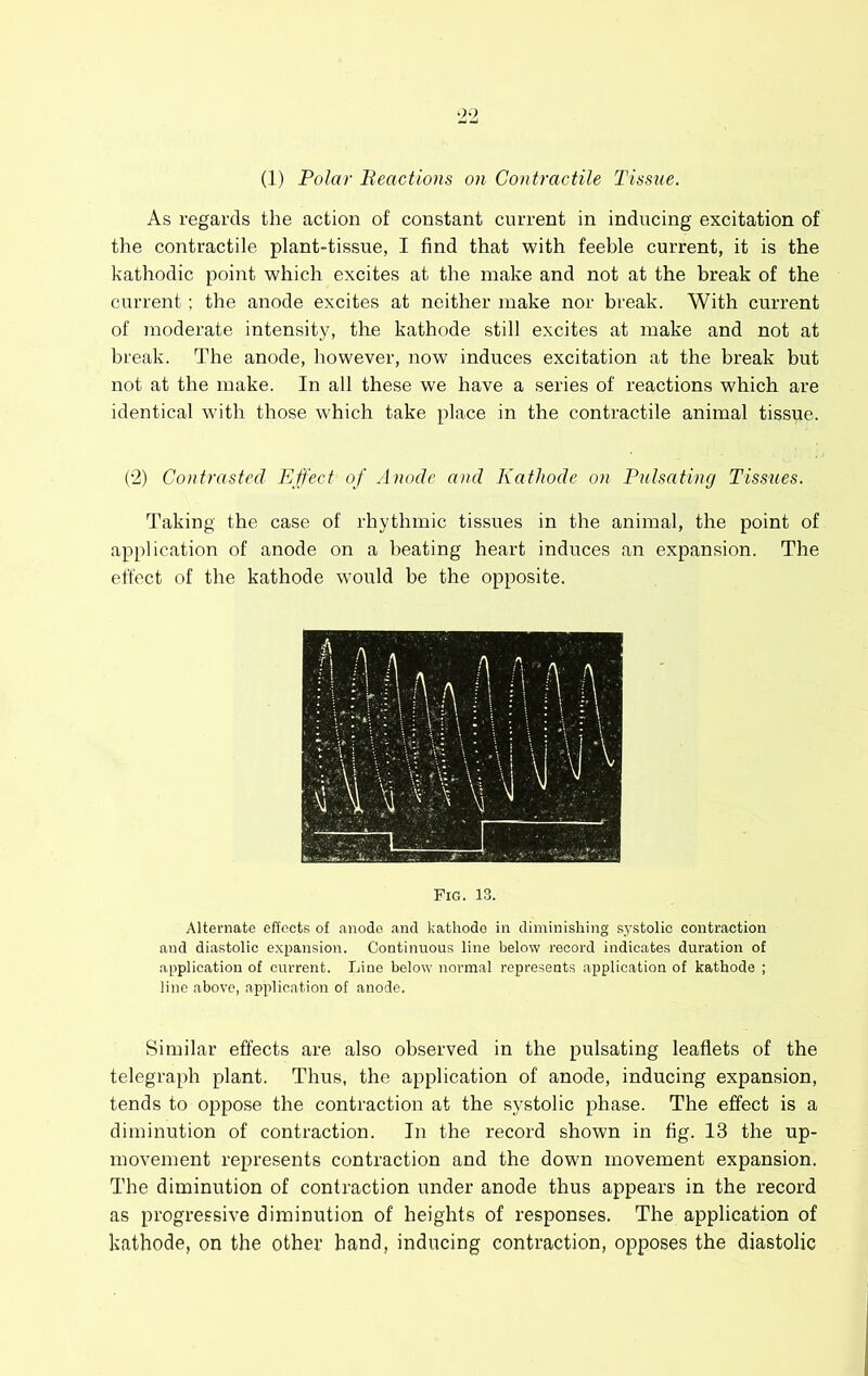 As regards the action of constant current in inducing excitation of the contractile plant-tissue, I find that with feeble current, it is the kathodic point which excites at the make and not at the break of the current; the anode excites at neither make nor break. With current of moderate intensity, the kathode still excites at make and not at break. The anode, however, now induces excitation at the break but not at the make. In all these we have a series of reactions which are identical with those which take place in the contractile animal tissue. (2) Contrasted Effect of Anode and Kathode on Pulsating Tissues. Taking the case of rhythmic tissues in the animal, the point of application of anode on a beating heart induces an expansion. The effect of the kathode would be the opposite. Pig. 13. Alternate effects of anode and kathodo in diminishing systolic contraction and diastolic expansion. Continuous line below record indicates duration of application of current. Line below normal represents application of kathode ; line above, application of anode. Similar effects are also observed in the pulsating leaflets of the telegraph plant. Thus, the application of anode, inducing expansion, tends to oppose the contraction at the systolic phase. The effect is a diminution of contraction. In the record shown in fig. 13 the up- movement represents contraction and the down movement expansion. The diminution of contraction under anode thus appears in the record as progressive diminution of heights of responses. The application of kathode, on the other hand, inducing contraction, opposes the diastolic