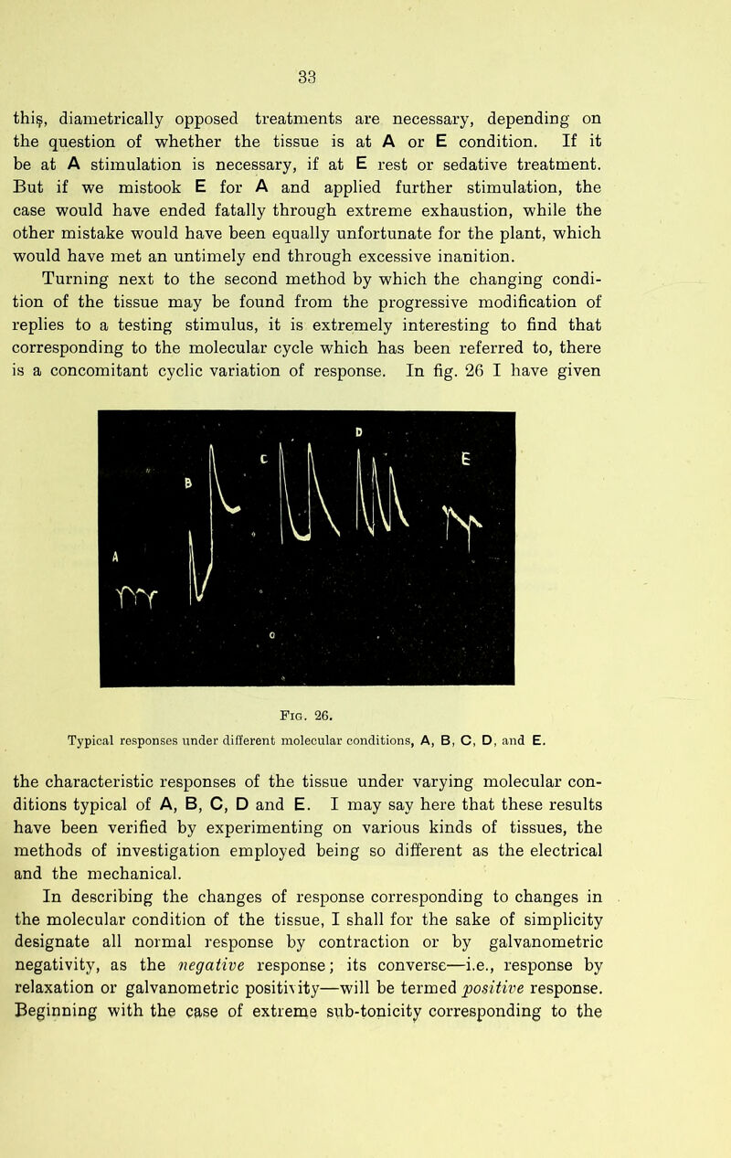 thi§, diametrically opposed treatments are necessary, depending on the question of whether the tissue is at A or E condition. If it be at A stimulation is necessary, if at E rest or sedative treatment. But if we mistook E for A and applied further stimulation, the case would have ended fatally through extreme exhaustion, while the other mistake would have been equally unfortunate for the plant, which would have met an untimely end through excessive inanition. Turning next to the second method by which the changing condi- tion of the tissue may be found from the progressive modification of replies to a testing stimulus, it is extremely interesting to find that corresponding to the molecular cycle which has been referred to, there is a concomitant cyclic variation of response. In fig. 26 I have given Fig. 26, Typical responses under different molecular conditions. A, B, C, D, and E. the characteristic responses of the tissue under varying molecular con- ditions typical of A, B, C, D and E. I may say here that these results have been verified by experimenting on various kinds of tissues, the methods of investigation employed being so different as the electrical and the mechanical. In describing the changes of response corresponding to changes in the molecular condition of the tissue, I shall for the sake of simplicity designate all normal response by contraction or by galvanometric negativity, as the negative response; its converse—i.e., response by relaxation or galvanometric posith ity—will be termed positive response. Beginning with the case of extrenae sub-tonicity corresponding to the