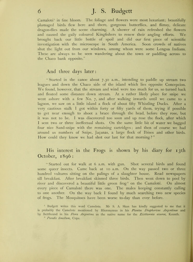 Camalote1 in fine bloom. The foliage and flowers were most luxuriant; beautifully plumaged birds flew here and there, gorgeous butterflies, and flimsy, delicate dragon-flies made the scene charming. A shower of rain refreshed the flowers and caused the gaily coloured Kingfishers to renew their angling efforts. We brought back our little bottle of spoil and did our first piece of scientific investigation with the microscope in South America. Soon crowds of natives shut the light out from our windows, among whom were some Lengua Indians. These are always to be seen wandering about the town or paddling across to the Chaco bank opposite.” And three days later: “Started in the canoe about 7.30 a.m., intending to paddle up stream two leagues and down the Chaco side of the island which lies opposite Concepcion. We found, however, that the stream and wind were too much for us, so turned back and floated some distance down stream. At a rather likely place for snipe we went ashore with a few No. 7, and after walking inwards until we came to a lagoon, we saw on a little island a flock of about fifty Whistling Ducks. After a very cautious stalk I got within forty or fifty yards of them, trying if possible to get near enough to shoot a brace through the head, before they rose, but it was not to be. I was discovered too soon and up rose the flock, after which I sent two or three ineffectual shots. On the same little bit of water we bagged four nice Sand-snipe with the remaining cartridges; and then of course we had around us numbers of Snipe, Ja9anas, a large flock of Ibises and other birds. How could they know we had shot our last for that morning?” His interest in the Frogs is shown by his diary for 13th October, 1896: “ Started out for walk at 6 a.m. with gun. Shot several birds and found some queer insects. Came back at 10 a.m. On the way passed two or three hundred vultures sitting on the palings of a slaughter house. Read newspapers till breakfast. After breakfast skinned three birds. Then went down to pool by river and discovered a beautiful little green frog2 on the Camalote. On almost every piece of Camalote there was one. The males keeping constantly calling to one another. On the way back I found by much searching two new species of frogs. The Mosquitoes have been worse to-day than ever before. 1 Budgett writes this word Camelota. Mr S. A. Skan has kindly suggested to me that it is probably the Camelote mentioned by Hieronymus in his Plantae Diaphoricae Argetitinae and by Bettfreund in his Flora Argentina as the native name for the Eichhornia azurea, Keenth. 2 Pseudis limelluin, Cope.