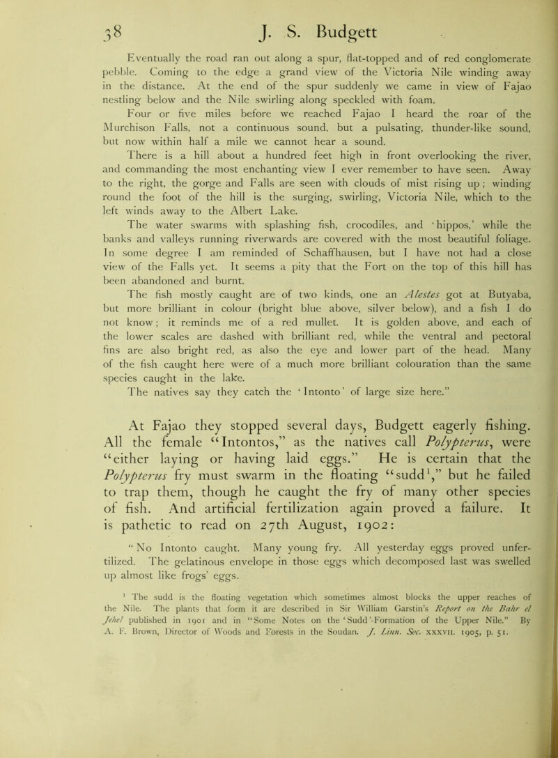 Eventually the road ran out along a spur, flat-topped and of red conglomerate pebble. Coming to the edge a grand view of the Victoria Nile winding away in the distance. At the end of the spur suddenly we came in view of Fajao nestling below and the Nile swirling along speckled with foam. Four or five miles before we reached Fajao I heard the roar of the Murchison Falls, not a continuous sound, but a pulsating, thunder-like sound, but now within half a mile we cannot hear a sound. There is a hill about a hundred feet high in front overlooking the river, and commanding the most enchanting view I ever remember to have seen. Away to the right, the gorge and Falls are seen with clouds of mist rising up ; winding round the foot of the hill is the surging, swirling, Victoria Nile, which to the left winds away to the Albert Lake. The water swarms with splashing fish, crocodiles, and ‘hippos,’ while the banks and valleys running riverwards are covered with the most beautiful foliage. In some degree I am reminded of Schaffhausen, but I have not had a close view of the Falls yet. It seems a pity that the Fort on the top of this hill has been abandoned and burnt. The fish mostly caught are of two kinds, one an A testes got at Butyaba, but more brilliant in colour (bright blue above, silver below), and a fish I do not know; it reminds me of a red mullet. It is golden above, and each of the lower scales are dashed with brilliant red, while the ventral and pectoral fins are also bright red, as also the eye and lower part of the head. Many of the fish caught here were of a much more brilliant colouration than the same species caught in the lake. The natives say they catch the ‘Intonto’ of large size here.” At Fajao they stopped several days, Budgett eagerly fishing. All the female “Intontos,” as the natives call Polypterus, were “either laying or having laid eggs.” He is certain that the Polypterus fry must swarm in the floating “sudd1,” but he failed to trap them, though he caught the fry of many other species of fish. And artificial fertilization again proved a failure. It is pathetic to read on 27th August, 1902: “No Intonto caught. Many young fry. All yesterday eggs proved unfer- tilized. The gelatinous envelope in those eggs which decomposed last was swelled up almost like frogs’ eggs. 1 The sudd is the floating vegetation which sometimes almost blocks the upper reaches of the Nile. The plants that form it are described in Sir William Garstin’s Report on the Bahr el Jehel published in 1901 and in “Some Notes on the ‘ Sudd’-Formation of the Upper Nile.” By A. F. Brown, Director of Woods and Forests in the Soudan. J. Linn. Soc. xxxvn. 1905, p. 51.