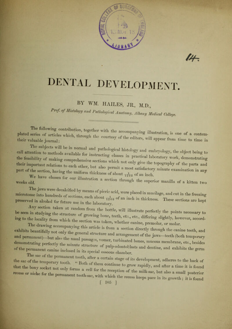 BY WM. HAILES, JR., M.D., Prof, of Histology and Pathological Anatomy, Albany Medical College. plated series of articles tvU^Thro^'the 'llesv °f * tlieir valuable journal: ' ' ’ appeai ^'oni tune to time in - at,:r^“1^ r r “* *° Part of tire sectio „ haring the ^ “ ££ “ weeks olA ‘a>e ^‘W ° ill,,Strati0n * *“*» ‘he superior maxilla of a kitten two The jaws were decalcified by means of nif*nV* cim/t „ i microtome into hundreds of sections each about > f ' V” !'•,nUC,Iage’ and eut in llle freezing preserved in alcohol for future use in the laboratory “  l’<SS' Tl,ese sections are kept he seeuir:;;;:: rtrfrora ,h,; b°'tt,e’wm POi„ts t. ing the local tv fr m Z 2 T”* T’ ’ ** ^ * however, accord- Tbe ,l,J “I10 'VaS ti,ke”’ ’hether canine, premolar, or molar. exhibits beautifuIly^noTonlythe’ue “ **“ * direC,,y thr0,,Sh the canine teeth, and and permanent)—but also the nail ? “ arrange.nent of the jaws-teeth (both temporary demonstrating perfectly the m’ l ' °mer’ tnrbinated bones> mucous membrane, etc., besides --* -iv::::: t::r - * -- —• »■ - ... «;“Crrr *•: ■» - ~ ..... - that the bony socket not only thru, II f t C°n 'e *° gTOW raPldlIb and ilftcr a time it is found necess or niche for the permanent tooll, ^th