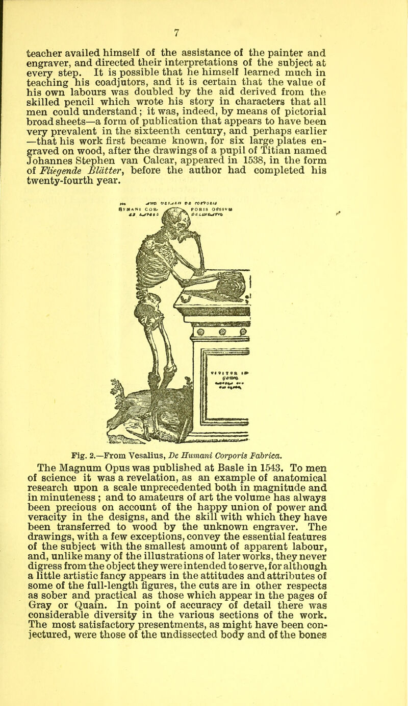 teacher availed himself of the assistance of the painter and engraver, and directed their interpretations of the subject at every step. It is possible that he himself learned much in teaching his coadjutors, and it is certain that the value of his own labours was doubled by the aid derived from the skilled pencil which wrote his story in characters that all men could understand; it was, indeed, by means of pictorial broad sheets—a form of publication that appears to have been very prevalent in the sixteenth century, and perhaps earlier —that his work first became known, for six large plates en- graved on wood, after the drawings of a pupil of Titian named Johannes Stephen van Calcar, appeared in 1538, in the form of Fliegende Blatter, before the author had completed his twenty-fourth year. oes^An t>e rort>ot/s Fig. 2.—From Vesalius, Be Humani Corporis Fabrica. The Magnum Opus was published at Basle in 1543. To men of science it was a revelation, as an example of anatomical research upon a scale unprecedented both in magnitude and in minuteness ; and to amateurs of art the volume has always been precious on account of the happy union of power and veracity in the designs, and the skill with which they have been transferred to wood by the unknown engraver. The drawings, with a few exceptions, convey the essential features of the subject with the smallest amount of apparent labour, and, unlike many of the illustrations of later works, they never digress from the object they were intended to serve, for although a little artistic fancy appears in the attitudes and attributes of some of the full-length figures, the cuts are in other respects as sober and practical as those which appear in the pages of Gray or Quain. In point of accuracy of detail there was considerable diversity in the various sections of the work. The most satisfactory presentments, as might have been con- jectured, were those of the undissected body and of the bones