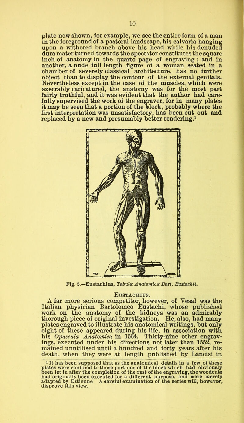 plate now shown, for example, we see the entire form of a man in the foreground of a pastoral landscape, his calvaria hanging upon a withered branch above his head while his denuded dura mater turned towards the spectator constitutes the square inch of anatomy in the quarto page of engraving ; and in another, a nude full length figure of a woman seated in a chamber of severely classical architecture, has no further object than to display the contour of the external genitals. Nevertheless except in the case of the muscles, which were execrably caricatured, the anatomy was for the most part fairly truthful, and it was evident that the author had care- fully supervised the work of the engraver, for in many plates it may be seen that a portion of the block, probably where the first interpretation was unsatisfactory, has been cut out and replaced by a new and presumably better rendering.1 Fig. 5.—Eustachius, Tabulx Anaiomiex Bart. Eustachii. Eustachius. A far more serious competitor, however, of Vesal was the Italian physician Bartolomeo Eustachi, whose published work on the anatomy of the kidneys was an admirably thorough piece of original investigation. He, also, had many plates engraved to illustrate his anatomical writings, but only eight of these appeared during his life, in association with his Opuscula Anatomiea in 1564. Thirty-nine other engrav- ings, executed under his directions not later than 1552, re- mained unutilised until a hundred and forty years after his death, when they were at length published by Lancisi in 1 It has been supposed that as the anatomical details in a few of these plates were confined to those portions of the block which had obviously been let in after the completion of the rest of the engraving, the woodcuts had originally been executed for a different purpose, and were merely adapted by Estienne A eareful examination of the series will, however, disprove this view.
