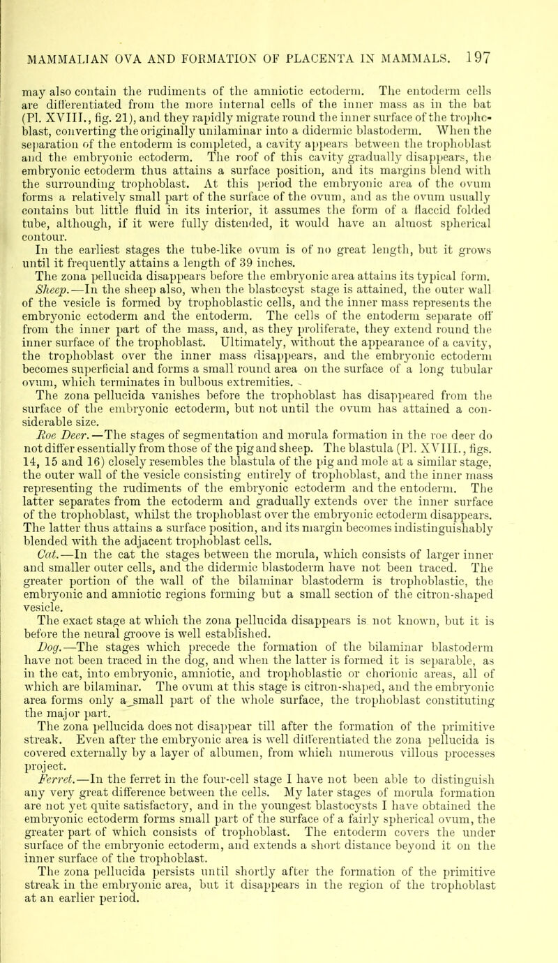 may also contain the rudiments of the amniotic ectoderm. The entoderm cells are differentiated from the more internal cells of the inner mass as in the bat (PL XVIII., fig. 21), and they rapidly migrate round the inner surface of the trophc- blast, converting the originally unilaminar into a didermic blastoderm. When the separation of the entoderm is completed, a cavity appears between the trophoblast and the embryonic ectoderm. The roof of this cavity gradually disappears, the embryonic ectoderm thus attains a surface position, and its margins blend with the surrounding trophoblast. At this period the embryonic area of the ovum forms a relatively small part of the surface of the ovum, and as the ovum usually contains but little fluid in its interior, it assumes the form of a flaccid folded tube, although, if it were fully distended, it would have an almost spherical contour. In the earliest stages the tube-like ovum is of no great length, but it grows until it frequently attains a length of 39 inches. The zona pellucida disappears before the embryonic area attains its typical form. Sheep.—In the sheep also, when the blastocyst stage is attained, the outer wall of the vesicle is formed by trophoblastic cells, and the inner mass represents the embryonic ectoderm and the entoderm. The cells of the entoderm separate off' from the inner part of the mass, and, as they proliferate, they extend round the inner surface of the trophoblast. Ultimately, without the appearance of a cavity, the trophoblast over the inner mass disappears, and the embryonic ectoderm becomes superficial and forms a small round area on the surface of a long tubular ovum, which terminates in bulbous extremities. - The zona pellucida vanishes before the trophoblast has disappeared from the surface of the embryonic ectoderm, but not until the ovum has attained a con- siderable size. Roe Deer. —The stages of segmentation and morula formation in the roe deer do not differ essentially from those of the pig and sheep. The blastula (PI. XVIII., figs. 14, 15 and 16) closely resembles the blastula of the pig and mole at a similar stage, the outer wall of the vesicle consisting entirely of trophoblast, and the inner mass representing the rudiments of the embryonic ectoderm and the entoderm. The latter separates from the ectoderm and gradually extends over the inner surface of the trophoblast, whilst the trophoblast over the embryonic ectoderm disappears. The latter thus attains a surface position, and its margin becomes indistinguishably blended with the adjacent trophoblast cells. Cat. —In the cat the stages between the morula, which consists of larger inner and smaller outer cells, and the didermic blastoderm have not been traced. The greater portion of the wall of the bilaminar blastoderm is trophoblastic, the embryonic and amniotic regions forming but a small section of the citron-shaped vesicle. The exact stage at which the zona pellucida disappears is. not known, but it is before the neural groove is well established. Dog.—The stages which precede the formation of the bilaminar blastoderm have not been traced in the dog, and when the latter is formed it is separable, as in the cat, into embryonic, amniotic, and trophoblastic or chorionic areas, all of which are bilaminar. The ovum at this stage is citron-shaped, and the embryonic area forms only a_small part of the whole surface, the trophoblast constituting the major part. The zona pellucida does not disappear till after the formation of the primitive streak. Even after the embryonic area is well differentiated the zona pellucida is covered externally by a layer of albumen, from which numerous villous processes project. Ferret.—In the ferret in the four-cell stage I have not been able to distinguish any very great difference between the cells. My later stages of morula formation are not yet quite satisfactory, and in the youngest blastocysts I have obtained the embryonic ectoderm forms small part of the surface of a fairly spherical ovum, the greater part of which consists of trophoblast. The entoderm covers the under surface of the embryonic ectoderm, and extends a short distance beyond it on the inner surface of the trophoblast. The zona pellucida persists until shortly after the formation of the primitive streak in the embryonic area, but it disappears in the region of the trophoblast at an earlier period.