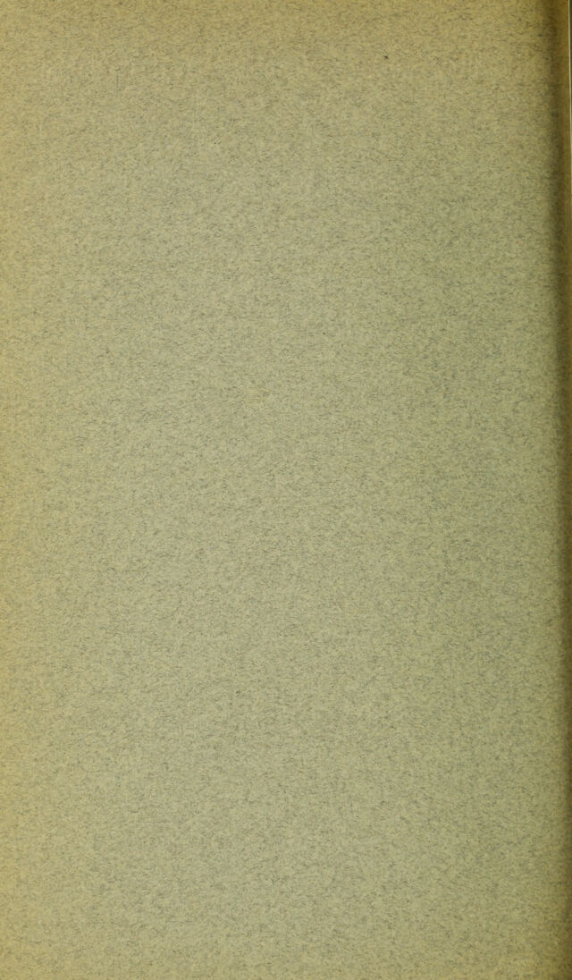 digitised image 2