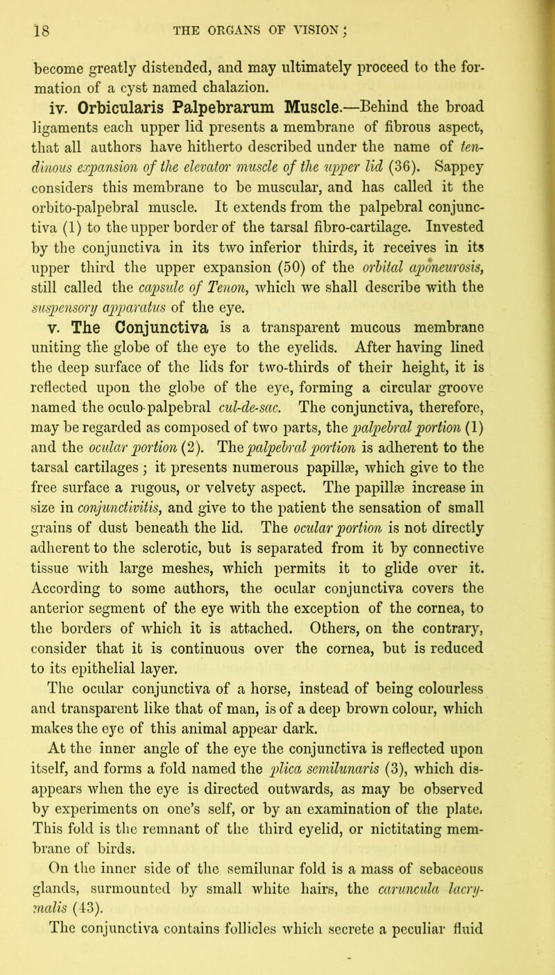 become greatly distended, and may ultimately proceed to the for- mation of a cyst named chalazion. iv. Orbicularis Palpebrarum Muscle.—Behind the broad ligaments each upper lid presents a membrane of fibrous aspect, that all authors have hitherto described under the name of ten- dinous expansion of the elevator muscle of the upper lid (36). Sappey considers this membrane to be muscular, and has called it the orbito-palpebral muscle. It extends from the palpebral conjunc- tiva (1) to the upper border of the tarsal fibro-cartilage. Invested by the conjunctiva in its two inferior thirds, it receives in its upper third the upper expansion (50) of the orbital aponeurosis, still called the capsule of Tenon, Avhich we shall describe with the suspensory apparatus of the eye. V. The Conjunctiva is a transparent mucous membrane uniting the globe of the eye to the eyelids. After having lined the deep surface of the lids for two-thirds of their height, it is reflected upon the globe of the eye, forming a circular groove named the oculo-palpebral cul-de-sac. The conjunctiva, therefore, may be regarded as composed of two parts, palpebral portion (I) and the ocidar piortion (2). palpebral portion is adherent to the tarsal cartilages ; it presents numerous papillae, which give to the free surface a rugous, or velvety aspect. The papillae increase in size in conjunctivitis, and give to the patient the sensation of small grains of dust beneath the lid. The ocular portion is not directly adherent to the sclerotic, but is separated from it by connective tissue with large meshes, which permits it to glide over it. According to some authors, the ocular conjunctiva covers the anterior segment of the eye with the exception of the cornea, to the borders of which it is attached. Others, on the contrary, consider that it is continuous over the cornea, but is reduced to its epithelial layer. The ocular conjunctiva of a horse, instead of being colourless and transparent like that of man, is of a deep brown colour, which makes the eye of this animal appear dark. At the inner angle of the eye the conjunctiva is reflected upon itself, and forms a fold named the p)^'^ca semilunaris (3), which dis- appears when the eye is directed outwards, as may be observed by experiments on one’s self, or by an examination of the plate. This fold is the remnant of the third eyelid, or nictitating mem- brane of birds. On the inner side of the semilunar fold is a mass of sebaceous glands, surmounted by small white hairs, the caruncula lacry- malis (43). The conjunctiva contains follicles which secrete a peculiar fluid