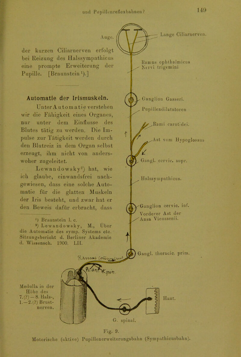 Auge. der kurzen Ciliarnerven erfolgt bei Reizung des Halssympatliicus eine prompte Erweiterung der Pupille. [Braunstein *).] Automatie der Irismuskeln. Unter A utomatie verstehen wir die Fälligkeit eines Organes, nur unter dem Einflüsse des Blutes tätig zu werden. Die Im- pulse zur Tätigkeit werden durch den Blutreiz in dem Organ selbst erzeugt, ihm nicht von anders- woher zu geleitet. Lewan dowsky2) hat, wie ich glaube, einwandsfrei nach- gewiesen, dass eine solche Auto- matie für die glatten Muskeln der Iris besteht, und zwar hat er den Beweis dafür erbracht, dass -• Lange Ciliarnerven. Ramus opbthalmicus Ktrvi trigemini J) Braunstein 1. e. a) Lewandowsky, M., Über die Automatie des symp. Systems etc. Sitzungsbericht d. Berliner Akademie d. Wissensch. 1900. LIL MeduHa in der Höhe des 7. (?) — 8. Hals-, 1.—2g?) Brust- nerven. T-'A/WVwS zmJ* Ganglion Gasseri. Pupillendilatatoren Rami carotidei. Ast vom Hypoglossus Gangl. cervic. supr. Halssy mpathicus. Ganglion cervic. inf. Vorderer Ast der /Ansa Vieussenii. t Gangl. thoracic, prim. Haut. Fig. 9. Motorische (aktive) Pupillcnonvoiterungsbahn (Sympathicusbahn).