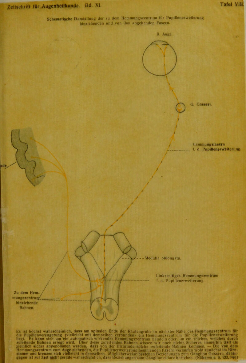 Tafel Vlü. Schematische Darstellung der zu dein Hemmungszentrum für Pupillenerweiterung hinziehenden und von ihm abgehetiden Fasern. R. Auge. v Q. Gnsseri. f f J A / Hemniuiigsfasern f. d. Pupillenerweiterung. } / > / / j / / / Es ist höchst wahrscheinlich, dass am spinalen Ende der Rautengrube in nächster Nähe des Hemmungszentrum für die Pupillenverengerung {vielleicht mit demselben verbunden) ein Hemmungszentrum für die Pupillenerweiterung liegt. F.s kann sich um ein automatisch wirkendes Hemmungszentrum handeln oder um ein solches, welches durch zuleitende Bahnen erregt wird. Übtr diese zuleitenden Bahnen wissen wir noch nichts Sicheres, immerhin darf als ziemlich sicher angenommen werden, dass von der Hirnrinde solche zuleitende Bahnen kommen. - Die von dem Hemmungszentrum zum Auge ziehenden, die Pupillenerweiterung hemmenden Fasern verlaufen wohl zunächst im Hirn- stamm und kreuzen sich vielleicht in demselben. Möglicherweise bestehen Beziehungen zum Ganglion Gasseri; dahin- gegen ist zur Zeit nicht gerade wahrscheinlich, dass Beziehungen zum Ganglion ciliare bestehen. (Näheres &. S. 133, 144.1