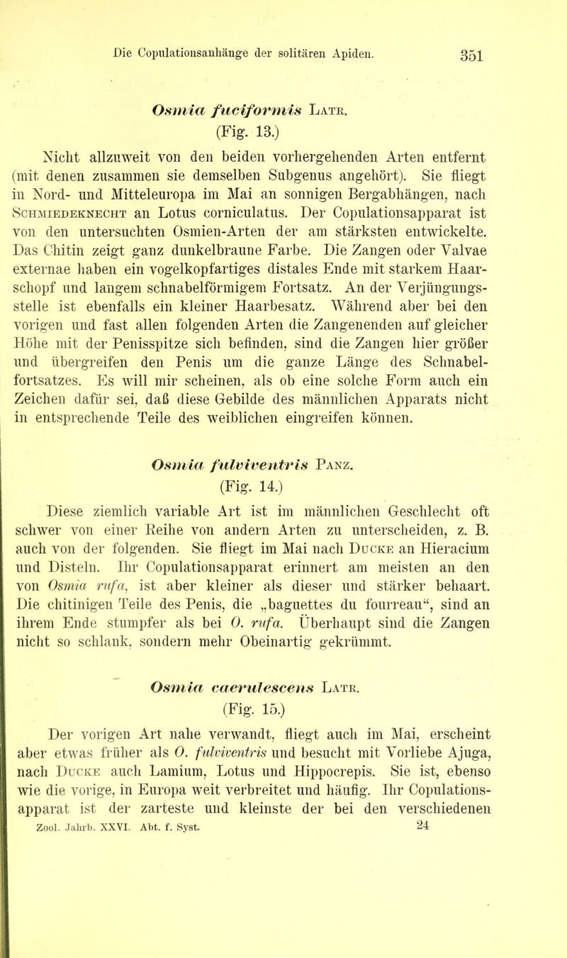 Osniia fuciformis Late. (Fig. 13.) Nicht allzuweit von den beiden vorhergehenden Arten entfernt (mit denen zusammen sie demselben Subgenus angehört). Sie fliegt in Nord- und Mitteleuropa im Mai an sonnigen Bergabhängen, nach Schmiedeknecht an Lotus corniculatus. Der Copulationsapparat ist von den untersuchten Osmien-Arten der am stärksten entwickelte. Das Chitin zeigt ganz dunkelbraune Farbe. Die Zangen oder Valvae externae haben ein vogelkopfartiges distales Ende mit starkem Haar- schopf und langem schnabelförmigem Fortsatz. An der Verjüngungs- stelle ist ebenfalls ein kleiner Haarbesatz. Während aber bei den vorigen und fast allen folgenden Arten die Zangenenden auf gleicher Höhe mit der Penisspitze sich befinden, sind die Zangen hier größer und übergreifen den Penis um die ganze Länge des Schnabel- fortsatzes. Es will mir scheinen, als ob eine solche Form auch ein Zeichen dafür sei, daß diese Gebilde des männlichen Apparats nicht in entsprechende Teile des weiblichen eingreifen können. Osmia fulviventrls Panz. (Fig. 14.) Diese ziemlich variable Art ist im männlichen Geschlecht oft schwer von einer Keihe von andern Arten zu unterscheiden, z. B. auch von der folgenden. Sie fliegt im Mai nach Ducke an Hieracium und Disteln. Ihr Copulationsapparat erinnert am meisten an den von Osmia rufa, ist aber kleiner als dieser und stärker behaart. Die chitinigen Teile des Penis, die „baguettes du fourreau“, sind an ihrem Ende stumpfer als bei 0. rufa. Überhaupt sind die Zangen nicht so schlank, sondern mehr Obeinartig gekrümmt. Osmia caerulescens Late. (Fig. 15.) Der vorigen Art nahe verwandt, fliegt auch im Mai, erscheint aber etwas früher als 0. fulviventris und besucht mit Vorliebe Ajuga, nach Ducke auch Lamium, Lotus und Hippocrepis. Sie ist, ebenso wie die vorige, in Europa weit verbreitet und häufig. Ihr Copulations- apparat ist der zarteste und kleinste der bei den verschiedenen Zool. Jahrb. XXVI. Abt. f. Syst. 24