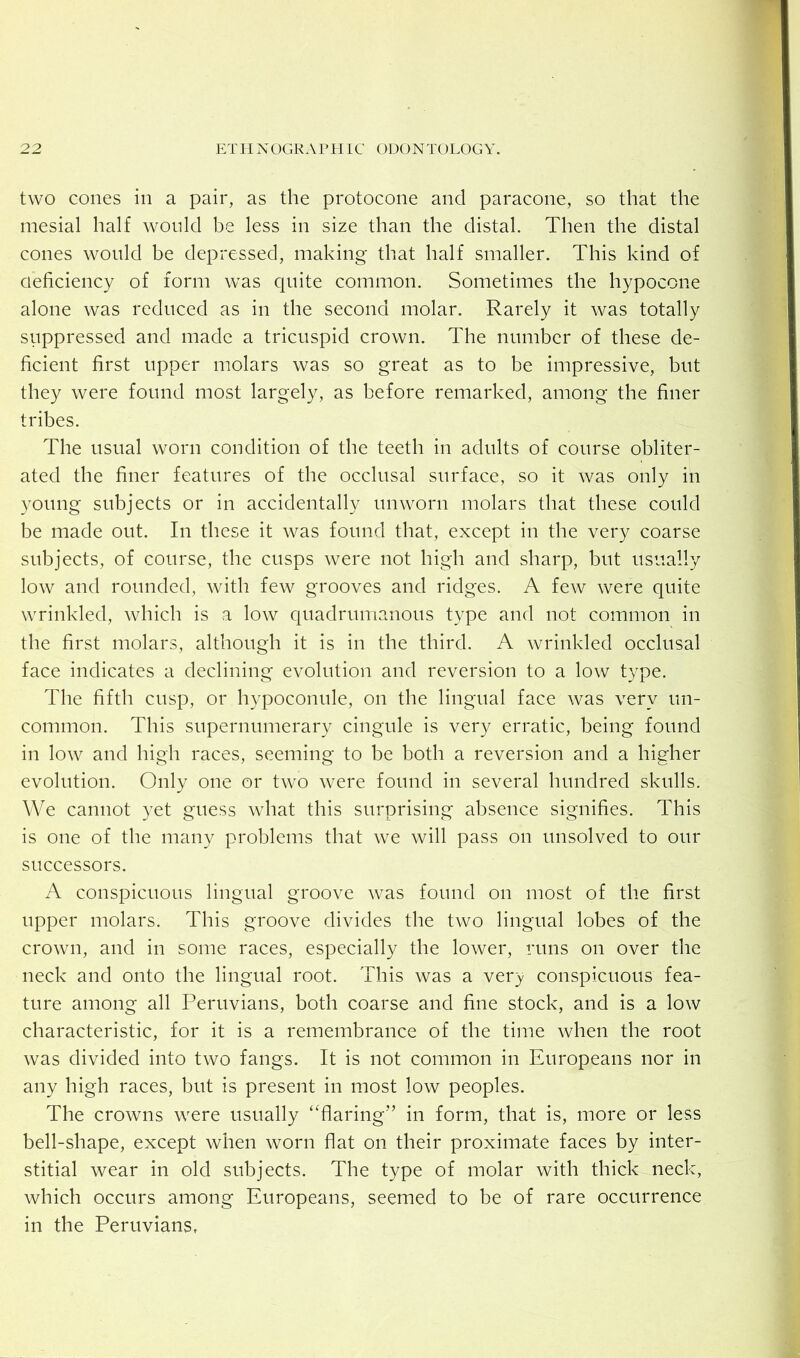 two cones in a pair, as the protocone and paracone, so that the mesial half would be less in size than the distal. Then the distal cones would be depressed, making that half smaller. This kind of aeficiency of form was quite common. Sometimes the hypocone alone was reduced as in the second molar. Rarely it was totally siippressed and made a tricuspid crown. The number of these de- ficient first upper molars was so great as to be impressive, but they were found most largely, as before remarked, among the finer tribes. The usual worn condition of the teeth in adults of course obliter- ated the finer features of the occlusal surface, so it was only in young subjects or in accidentally unworn molars that these could be made out. In these it was found that, except in the very coarse subjects, of course, the cusps were not high and sharp, but usually low and rounded, with few grooves and ridges. A few were quite wrinkled, which is a low quadrumanous type and not common in the first molars, although it is in the third. A wrinkled occlusal face indicates a declining evolution and reversion to a low type. The fifth cusp, or hypoconule, on the lingual face was very un- common. This supernumerary cingule is very erratic, being found in low and high races, seeming to be both a reversion and a higher evolution. Only one or two were found in several hundred skulls. We cannot yet guess what this surprising absence signifies. This is one of the many problems that we will pass on unsolved to our successors. A conspicuous lingual groove was found on most of the first upper molars. This groove divides the two lingual lobes of the crown, and in some races, especially the lower, runs on over the neck and onto the lingual root. This was a ver)/ conspicuous fea- ture among all Peruvians, both coarse and fine stock, and is a low characteristic, for it is a remembrance of the time when the root was divided into two fangs. It is not common in Europeans nor in any high races, but is present in most low peoples. The crowns were usually “flaring” in form, that is, more or less bell-shape, except when worn flat on their proximate faces by inter- stitial wear in old subjects. The type of molar with thick neck, which occurs among Europeans, seemed to be of rare occurrence in the Peruvians,