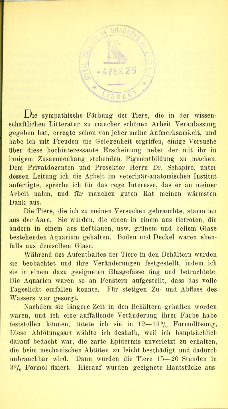 Die sympathische Färbung der Tiere, die in der wissen- schaftlichen Litteratur zu mancher schönen Arbeit Veranlassung- gegeben hat, erregte schon von jeher meine Aufmerksamkeit, und habe ich mit Freuden die Gelegenheit ergriffen, einige Versuche über diese hochinteressante Erscheinung nebst der mit ihr in innigem Zusammenhang stehenden Pigmentbildung zu machen. Dem Privatdozenten und Prosektor Herrn Dr. Schapiro, unter dessen Leitung ich die Arbeit im veterinär-anatomischen Institut anfertigte, spreche ich für das rege Interesse, das er an meiner Arbeit nahm, und für manchen guten Rat meinen Avärmsten Dank aus. Die Tiere, die ich zu meinen Versuchen gebrauchte, stammten aus der Aare. Sie wurden, die einen in einem aus tiefroten, die andern in einem aus tiefblauen, usw. grünem und hellem Glase bestehenden Aquarium gehalten. Boden und Deckel waren eben- falls aus demselben Glase. Während des Aufenthaltes der Tiere in den Behältern wurden sie beobachtet und ihre Veränderungen festgestellt, indem ich sie in einem dazu geeigneten Glasgefässe ffng und betrachtete. Die Aquarien waren so an Fenstern aufgestellt, dass das volle Tageslicht einfallen konnte. Für stetigen Zu- und Abfluss des Wassers war gesorgt. Nachdem sie längere Zeit in den Behältern gehalten worden waren, und ich eine auffallende Veränderung ihrer Farbe habe feststellen können, tötete ich sie in 12—14% Formollösung. Diese Abtötungsart wählte ich deshalb, weil ich hauptsächlich darauf bedacht war, die zarte Epidermis unverletzt zu erhalten, die beim mechanischen Abtöten zu leicht beschädigt und dadurch unbrauchbar wird. Dann wurden die Tiere 15—20 Stunden in B% Formol fixiert. Hierauf wurden geeignete Hautstücke aus-