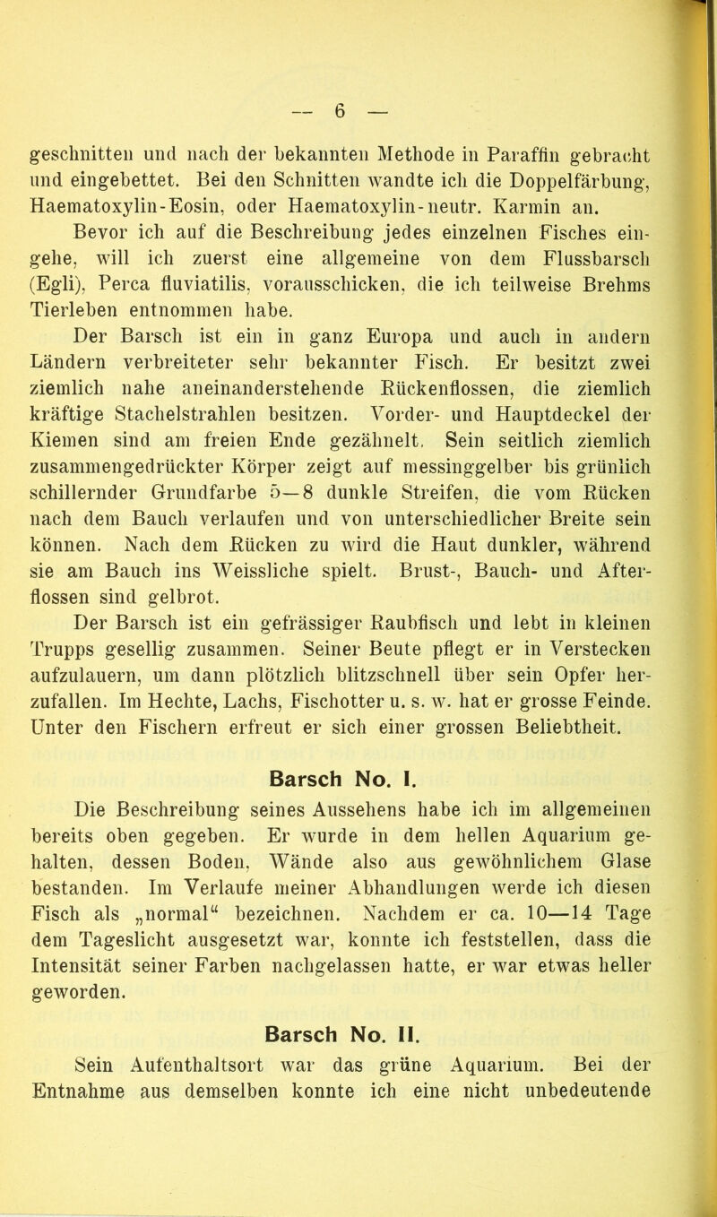 geschnitten und nach der bekannten Methode in Paraffin gebracht und eingebettet. Bei den Schnitten wandte ich die Doppelfärbung, Haematoxylin-Eosin, oder Haematoxylin-neutr. Karmin an. Bevor ich auf die Beschreibung jedes einzelnen Fisches ein- gehe, will ich zuerst eine allgemeine von dem Flussbarsch (Egli), Perca fluviatilis, vorausschicken, die ich teilweise Brehms Tierleben entnommen habe. Der Barsch ist ein in ganz Europa und auch in andern Ländern verbreiteter sehr bekannter Fisch. Er besitzt zwei ziemlich nahe aneinanderstehende Rückenflossen, die ziemlich kräftige Stachelstrahlen besitzen. Vorder- und Hauptdeckel der Kiemen sind am freien Ende gezähnelt. Sein seitlich ziemlich zusammengedrückter Körper zeigt auf messinggelber bis grünlich schillernder Grundfarbe 5—8 dunkle Streifen, die vom Rücken nach dem Bauch verlaufen und von unterschiedlicher Breite sein können. Nach dem Rücken zu wird die Haut dunkler, während sie am Bauch ins Weissliche spielt. Brust-, Bauch- und After- flossen sind gelbrot. Der Barsch ist ein gefrassiger Raubfisch und lebt in kleinen Trupps gesellig zusammen. Seiner Beute pflegt er in Verstecken aufzulauern, um dann plötzlich blitzschnell über sein Opfer her- zufallen. Im Hechte, Lachs, Fischotter u. s. w. hat er grosse Feinde. Unter den Fischern erfreut er sich einer grossen Beliebtheit. Barsch No. I. Die Beschreibung seines Aussehens habe ich im allgemeinen bereits oben gegeben. Er wurde in dem hellen Aquarium ge- halten, dessen Boden, Wände also aus gewöhnlichem Glase bestanden. Im Verlaufe meiner Abhandlungen werde ich diesen Fisch als „normal“ bezeichnen. Nachdem er ca. 10—14 Tage dem Tageslicht ausgesetzt war, konnte ich feststellen, dass die Intensität seiner Farben nachgelassen hatte, er war etwas heller geworden. Barsch No. II. Sein Aufenthaltsort war das grüne Aquarium. Bei der Entnahme aus demselben konnte ich eine nicht unbedeutende