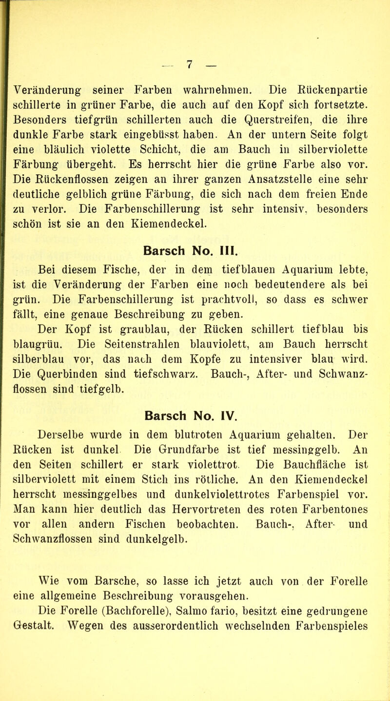 Veränderung seiner Farben wahrnehmen. Die Rückenpartie schillerte in grüner Farbe, die auch auf den Kopf sich fortsetzte. Besonders tief grün schillerten auch die Querstreifen, die ihre dunkle Farbe stark eingebüsst haben. An der untern Seite folgt eine bläulich violette Schicht, die am Bauch in silberviolette Färbung übergeht. Es herrscht hier die grüne Farbe also vor. Die Rückenflossen zeigen an ihrer ganzen Ansatzstelle eine sehr deutliche gelblich grüne Färbung, die sich nach dem freien Ende zu verlor. Die Farben Schillerung ist sehr intensiv, besonders schön ist sie an den Kiemendeckel. Barsch No. III. Bei diesem Fische, der in dem tiefblauen Aquarium lebte, ist die Veränderung der Farben eine noch bedeutendere als bei grün. Die Farbenschillerung ist prachtvoll, so dass es schwer fällt, eine genaue Beschreibung zu geben. Der Kopf ist graublau, der Rücken schillert tiefblau bis blaugrüu. Die Seitenstrahlen blauviolett, am Bauch herrscht silberblau vor, das nach dem Kopfe zu intensiver blau wird. Die Querbinden sind tief schwarz. Bauch-, After- und Schwanz- flossen sind tiefgelb. Barsch No. IV. Derselbe wurde in dem blutroten Aquarium gehalten. Der Rücken ist dunkel Die Grundfarbe ist tief messinggelb. An den Seiten schillert er stark violettrot. Die Bauchfläche ist silberviolett mit einem Stich ins rötliche. An den Kiemendeckel herrscht messinggelbes und dunkelviolettrotes Farbenspiel vor. Man kann hier deutlich das Hervortreten des roten Farbentones vor allen andern Fischen beobachten. Bauch-, After^ und Schwanzflossen sind dunkelgelb. Wie vom Barsche, so lasse ich jetzt auch von der Forelle eine allgemeine Beschreibung vorausgehen. Die Forelle (Bachforelle), Salmo fario, besitzt eine gedrungene Gestalt. Wegen des ausserordentlich wechselnden Farbenspieles