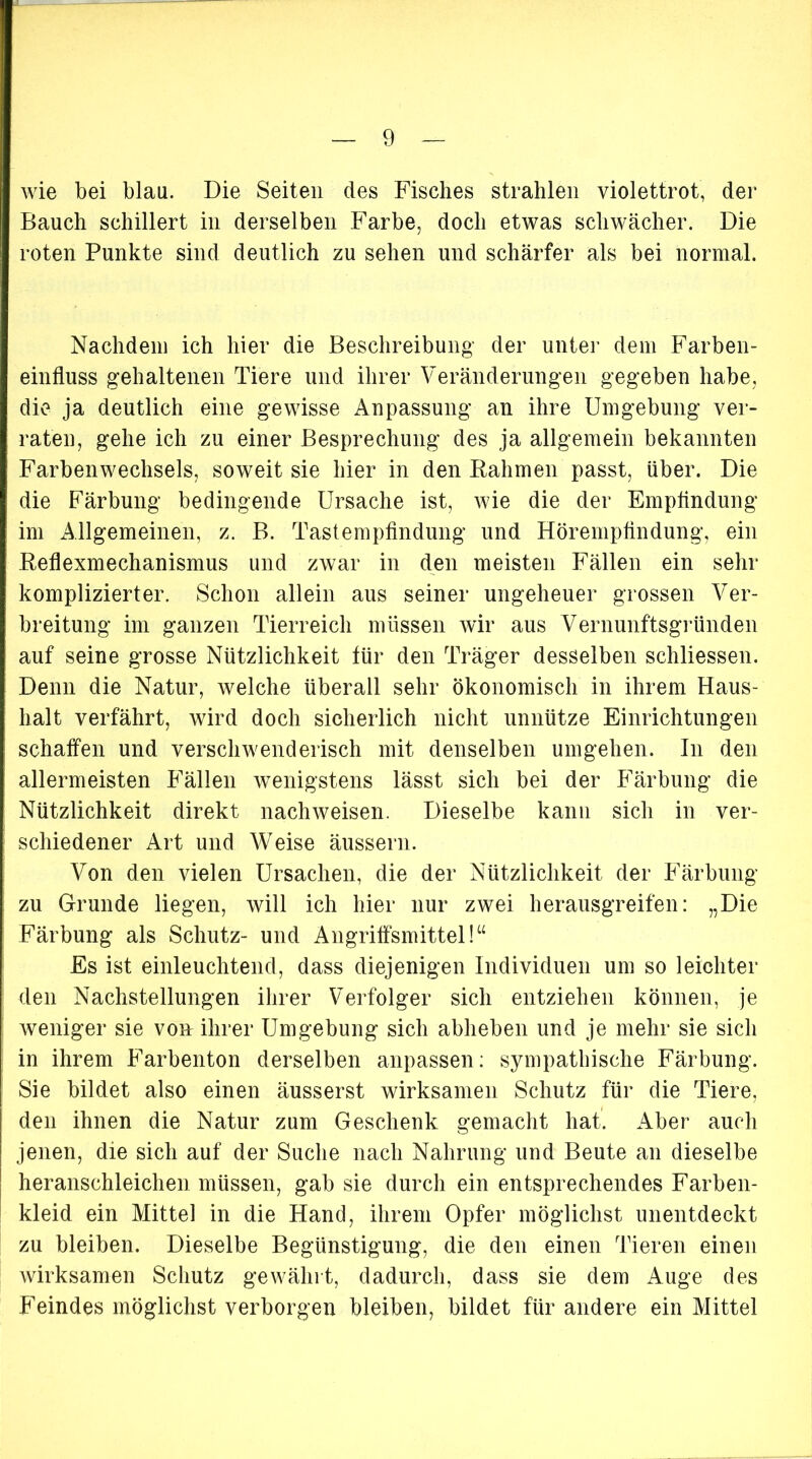 wie bei blau. Die Seiten des Fisches strahlen violettrot, der Bauch schillert in derselben Farbe, doch etwas schwächer. Die roten Punkte sind deutlich zu sehen und schärfer als bei normal. Nachdem ich hier die Beschreibung- der unter dem Farben- einfluss gehaltenen Tiere und ihrer Veränderungen gegeben habe, die ja deutlich eine gewisse Anpassung an ihre Umgebung ver- raten, gehe ich zu einer Besprechung des ja allgemein bekannten Farbenwechsels, soweit sie hier in den Kähmen passt, über. Die die Färbung bedingende Ursache ist, wie die der Empfindung im Allgemeinen, z. B. Tastempfindung und Hörempfindung, ein Keflexmechanismus und zwar in den meisten Fällen ein sehr komplizierter. Schon allein aus seiner ungeheuer grossen Ver- breitung im ganzen Tierreich müssen wir aus Vernunftsgründen auf seine grosse Nützlichkeit für den Träger desselben schliessen. Denn die Natur, welche überall sehr ökonomisch in ihrem Haus- halt verfährt, wird doch sicherlich nicht unnütze Einrichtungen schaffen und verschwenderisch mit denselben umgehen. In den allermeisten Fällen wenigstens lässt sich bei der Färbung die Nützlichkeit direkt nach weisen. Dieselbe kann sich in ver- schiedener Art und Weise äussern. Von den vielen Ursachen, die der Nützlichkeit der Färbung zu Grunde liegen, will ich hier nur zwei herausgreifen: „Die Färbung als Schutz- und Angriffsmittel!“ Es ist einleuchtend, dass diejenigen Individuen um so leichter den Nachstellungen ihrer Verfolger sich entziehen können, je weniger sie von ihrer Umgebung sich abheben und je mehr sie sich in ihrem Farbenton derselben anpassen: sympathische Färbung. Sie bildet also einen äusserst wirksamen Schutz für die Tiere, den ihnen die Natur zum Geschenk gemacht hat. Aber auch jenen, die sich auf der Suche nach Nahrung und Beute an dieselbe heranschleichen müssen, gab sie durch ein entsprechendes Farben- kleid ein Mittel in die Hand, ihrem Opfer möglichst unentdeckt zu bleiben. Dieselbe Begünstigung, die den einen Tieren einen wirksamen Schutz gewährt, dadurch, dass sie dem Auge des Feindes möglichst verborgen bleiben, bildet für andere ein Mittel