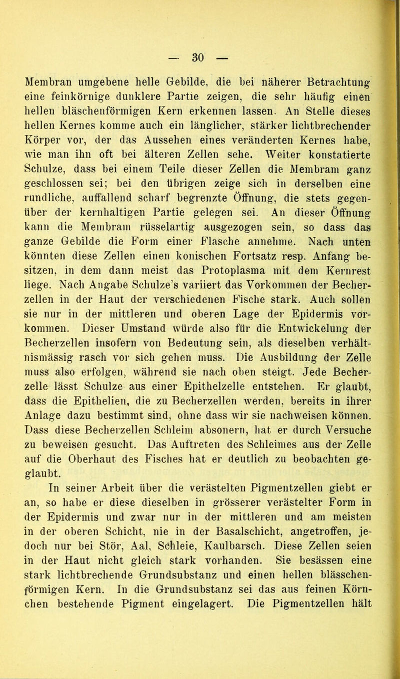 Membran umgebene helle Gebilde, die bei näherer Betrachtung eine feinkörnige dunklere Partie zeigen, die sehr häufig einen hellen bläschenförmigen Kern erkennen lassen. An Stelle dieses hellen Kernes komme auch ein länglicher, stärker lichtbrechender Körper vor, der das Aussehen eines veränderten Kernes habe, wie man ihn oft bei älteren Zellen sehe. Weiter konstatierte Schulze, dass bei einem Teile dieser Zellen die Membram ganz geschlossen sei; bei den übrigen zeige sich in derselben eine rundliche, auffallend scharf begrenzte Öffnung, die stets gegen- über der kernhaltigen Partie gelegen sei. An dieser Öffnung kann die Membram rüsselartig ausgezogen sein, so dass das ganze Gebilde die Form einer Flasche annehme. Nach unten könnten diese Zellen einen konischen Fortsatz resp. Anfang be- sitzen, in dem dann meist das Protoplasma mit dem Kernrest liege. Nach Angabe Schulze’s variiert das Vorkommen der Becher- zellen in der Haut der verschiedenen Fische stark. Auch sollen sie nur in der mittleren und oberen Lage der Epidermis Vor- kommen. Dieser Umstand würde also für die Entwickelung der Becherzellen insofern von Bedeutung sein, als dieselben verhält- nismässig rasch vor sich gehen muss. Die Ausbildung der Zelle muss also erfolgen, während sie nach oben steigt. Jede Becher- zelle lässt Schulze aus einer Epithelzelle entstehen. Er glaubt, dass die Epithelien, die zu Becherzellen werden, bereits in ihrer Anlage dazu bestimmt sind, ohne dass wir sie nachweisen können. Dass diese Becherzellen Schleim absonern, hat er durch Versuche zu beweisen gesucht. Das Auftreten des Schleimes aus der Zelle auf die Oberhaut des Fisches hat er deutlich zu beobachten ge- glaubt. In seiner Arbeit über die verästelten Pigmentzellen giebt er an, so habe er diese dieselben in grösserer verästelter Form in der Epidermis und zwar nur in der mittleren und am meisten in der oberen Schicht, nie in der Basalschicht, angetroffen, je- doch nur bei Stör, Aal, Schleie, Kaulbarsch. Diese Zellen seien in der Haut nicht gleich stark vorhanden. Sie besässen eine stark lichtbrechende Grundsubstanz und einen hellen blässchen- förmigen Kern. In die Grund Substanz sei das aus feinen Körn- chen bestehende Pigment eingelagert. Die Pigmentzellen hält