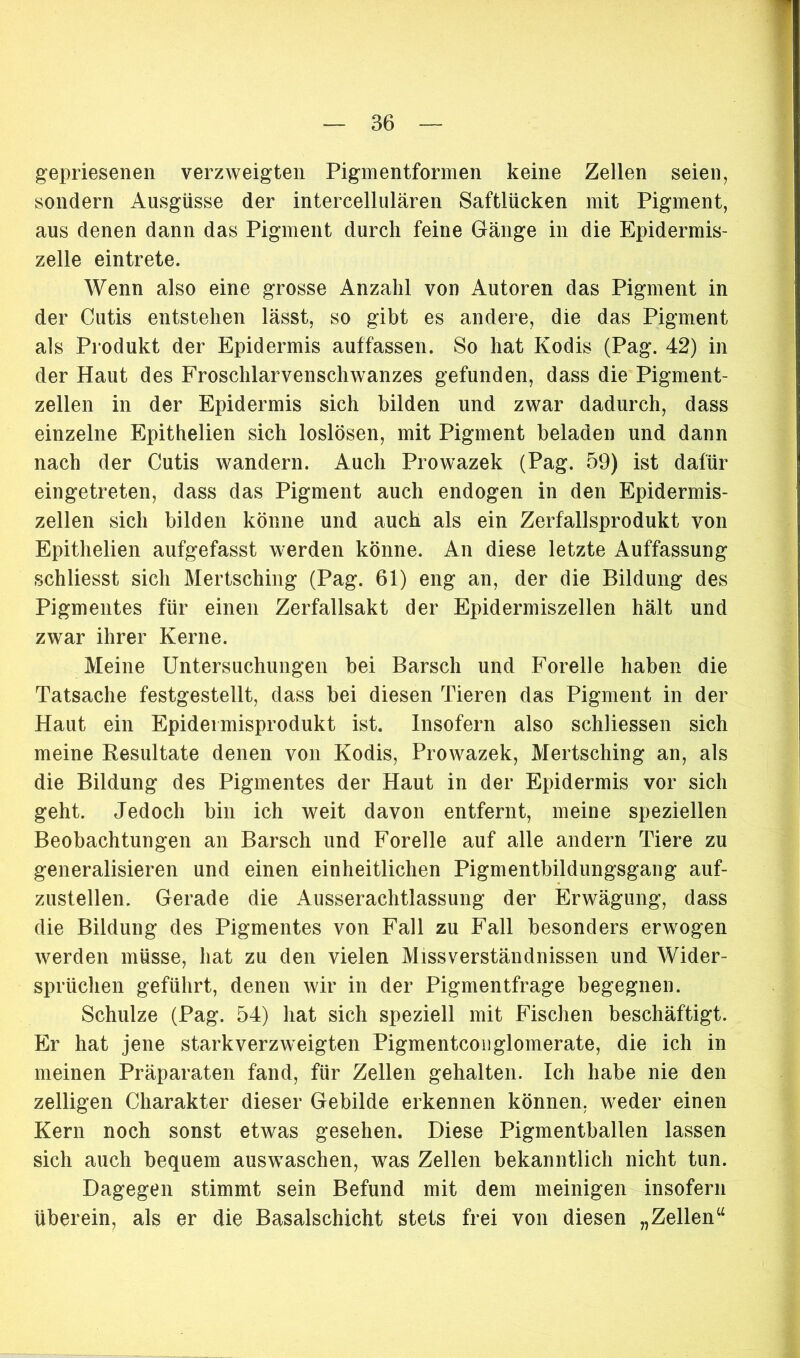 gepriesenen verzweigten Pigmentformen keine Zellen seien, sondern Ausgüsse der intercellulären Saftlücken mit Pigment, aus denen dann das Pigment durch feine Gänge in die Epidermis- zelle eintrete. Wenn also eine grosse Anzahl von Autoren das Pigment in der Cutis entstehen lässt, so gibt es andere, die das Pigment als Produkt der Epidermis auffassen. So hat Kodis (Pag. 42) in der Haut des Froschlarvenschwanzes gefunden, dass die Pigment- zellen in der Epidermis sich bilden und zwar dadurch, dass einzelne Epithelien sich loslösen, mit Pigment beladen und dann nach der Cutis wandern. Auch Prowazek (Pag. 59) ist dafür eingetreten, dass das Pigment auch endogen in den Epidermis- zellen sich bilden könne und auch als ein Zerfallsprodukt von Epithelien aufgefasst werden könne. An diese letzte Auffassung schliesst sich Mertsching (Pag. 61) eng an, der die Bildung des Pigmentes für einen Zerfallsakt der Epidermiszellen hält und zwar ihrer Kerne. Meine Untersuchungen bei Barsch und Forelle haben die Tatsache festgestellt, dass bei diesen Tieren das Pigment in der Haut ein Epidermisprodukt ist. Insofern also schliessen sich meine Kesultate denen von Kodis, Prowazek, Mertsching an, als die Bildung des Pigmentes der Haut in der Epidermis vor sich geht. Jedoch bin ich weit davon entfernt, meine speziellen Beobachtungen an Barsch und Forelle auf alle andern Tiere zu generalisieren und einen einheitlichen Pigmentbildungsgang auf- zustellen. Gerade die Ausserachtlassung der Erwägung, dass die Bildung des Pigmentes von Fall zu Fall besonders erwogen werden müsse, hat zu den vielen Missverständnissen und Wider- sprüchen geführt, denen wir in der Pigmentfrage begegnen. Schulze (Pag. 54) hat sich speziell mit Fischen beschäftigt. Er hat jene starkverzweigten Pigmentconglomerate, die ich in meinen Präparaten fand, für Zellen gehalten. Ich habe nie den zelligen Charakter dieser Gebilde erkennen können, weder einen Kern noch sonst etwas gesehen. Diese Pigmentballen lassen sich auch bequem auswaschen, was Zellen bekanntlich nicht tun. Dagegen stimmt sein Befund mit dem meinigen insofern überein, als er die Basalschicht stets frei von diesen „Zellen“