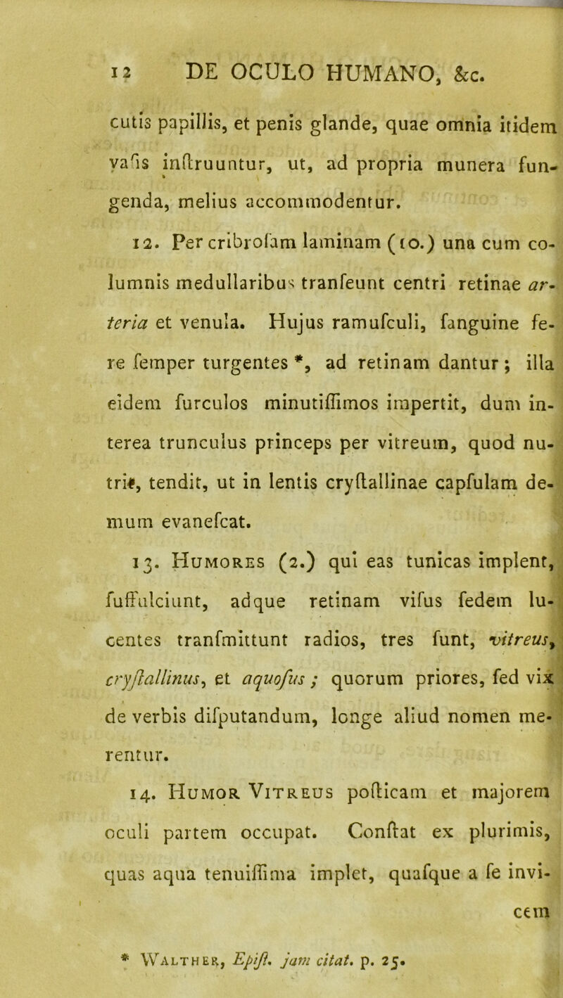 CLitls papillis, et penis glande, quae omnia itidem ya^is inftruuntur, ut, ad propria munera fun- genda, melius accommodentur. 12. Per crlbrofam laminam (to.) una cum co- lumnis medullaribus tranfeunt centri retinae terla et venula. Hujus ramufculi, fanguine fe- re femper turgentes ad retinam dantur ; illa eidem furculos minutiffimos impertit, dum in- terea trunculus princeps per vitreum, quod nu- tri#, tendit, ut in lentis cryflallinae capfulam de- mum evanefcat. 13. Humores (2.) qui eas tunicas implent, fufFulciunt, ad que retinam vifus fedem lu- centes tranfmittunt radios, tres funt, vitreus^ cryjlalliniu^ et aquofus ; quorum priores, fed vix de verbis difputandum, longe aliud nomen me- rentur. 14. Humor Vitreus pofticam et majorem oculi partem occupat. Conftat ex plurimis, quas aqua tenuiflima implet, quafque a fe invi- cem ♦ Walther, Jam citat, p. 25.