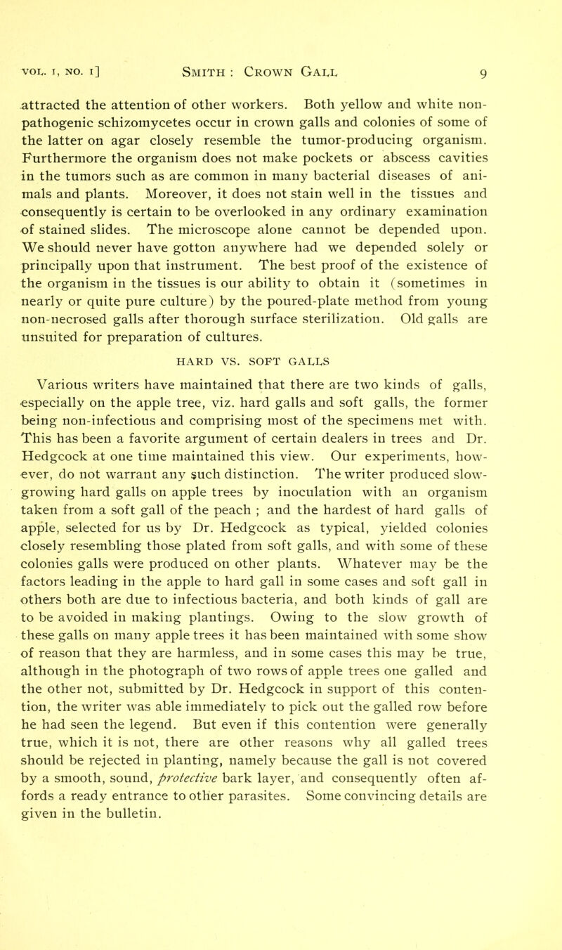 attracted the attention of other workers. Both yellow and white non- pathogenic schizomycetes occur in crown galls and colonies of some of the latter on agar closely resemble the tumor-producing organism. Furthermore the organism does not make pockets or abscess cavities in the tumors such as are common in many bacterial diseases of ani- mals and plants. Moreover, it does not stain well in the tissues and consequently is certain to be overlooked in any ordinary examination of stained slides. The microscope alone cannot be depended upon. We should never have gotton anywhere had we depended solely or principally upon that instrument. The best proof of the existence of the organism in the tissues is our ability to obtain it (sometimes in nearly or quite pure culture) by the poured-plate method from young non-necrosed galls after thorough surface sterilization. Old galls are unsuited for preparation of cultures. HARD VS. SOFT GARLS Various writers have maintained that there are two kinds of galls, ■especially on the apple tree, viz. hard galls and soft galls, the former being non-infectious and comprising most of the specimens met with. This has been a favorite argument of certain dealers in trees and Dr. Hedgcock at one time maintained this view. Our experiments, how- ever, do not warrant any such distinction. The writer produced slow- growing hard galls on apple trees by inoculation with an organism taken from a soft gall of the peach ; and the hardest of hard galls of apple, selected for us by Dr. Hedgcock as typical, yielded colonies closely resembling those plated from soft galls, and with some of these colonies galls were produced on other plants. Whatever may be the factors leading in the apple to hard gall in some cases and soft gall in others both are due to infectious bacteria, and both kinds of gall are to be avoided in making plantings. Owing to the slow growth of these galls on many apple trees it has been maintained with some show of reason that they are harmless, and in some cases this may be true, although in the photograph of two rows of apple trees one galled and the other not, submitted by Dr. Hedgcock in support of this conten- tion, the writer was able immediately to pick out the galled row before he had seen the legend. But even if this contention were generally true, which it is not, there are other reasons why all galled trees should be rejected in planting, namely because the gall is not covered by a smooth, sound, protective bark layer, and consequently often af- fords a ready entrance to other parasites. Some convincing details are given in the bulletin.