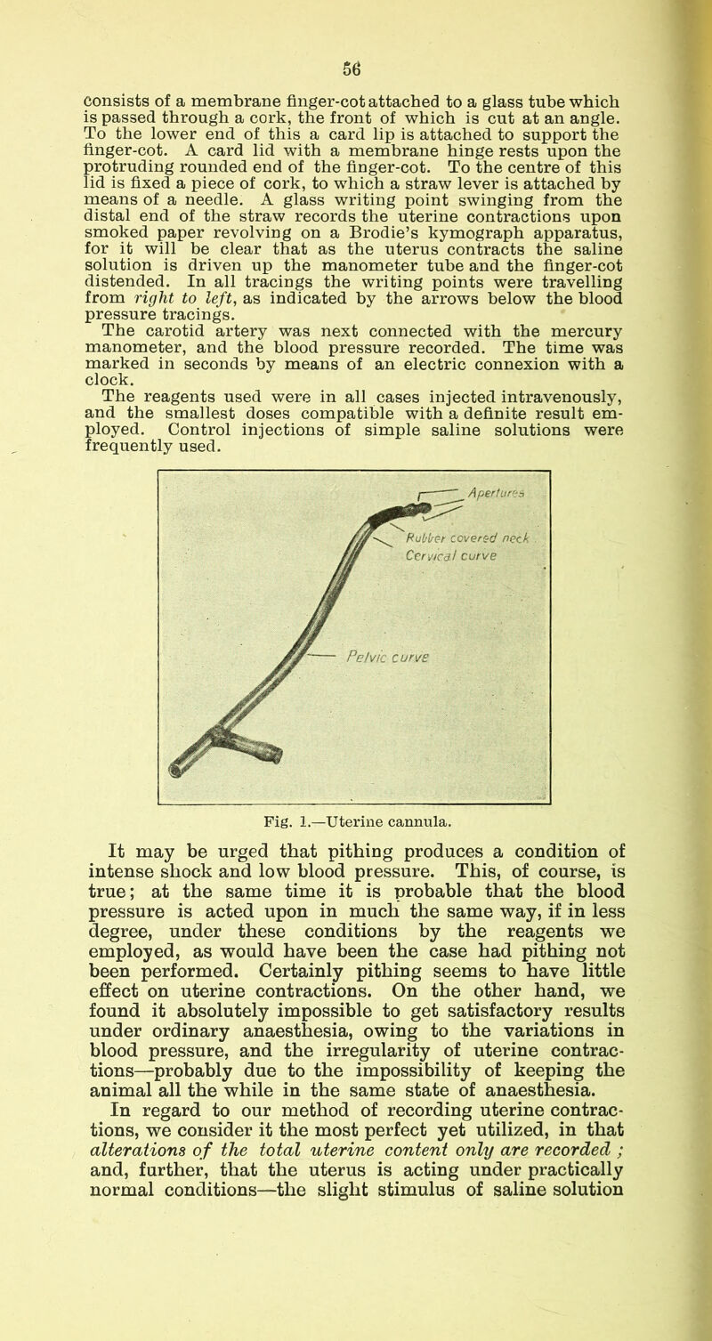 consists of a membrane finger-cot attached to a glass tube which is passed through a cork, the front of which is cut at an angle. To the lower end of this a card lip is attached to support the finger-cot. A card lid with a membrane hinge rests upon the protruding rounded end of the finger-cot. To the centre of this lid is fixed a piece of cork, to which a straw lever is attached by means of a needle. A glass writing point swinging from the distal end of the straw records the uterine contractions upon smoked paper revolving on a Brodie’s kymograph apparatus, for it will be clear that as the uterus contracts the saline solution is driven up the manometer tube and the finger-cot distended. In all tracings the writing points were travelling from right to left, as indicated by the arrows below the blood pressure tracings. The carotid artery was next connected with the mercury manometer, and the blood pressure recorded. The time was marked in seconds by means of an electric connexion with a clock. The reagents used were in all cases injected intravenously, and the smallest doses compatible with a definite result em- ployed. Control injections of simple saline solutions were frequently used. It may be urged that pithing produces a condition of intense shock and low blood pressure. This, of course, is true; at the same time it is probable that the blood pressure is acted upon in much the same way, if in less degree, under these conditions by the reagents we employed, as would have been the case had pithing not been performed. Certainly pithing seems to have little effect on uterine contractions. On the other hand, we found it absolutely impossible to get satisfactory results under ordinary anaesthesia, owing to the variations in blood pressure, and the irregularity of uterine contrac- tions—probably due to the impossibility of keeping the animal all the while in the same state of anaesthesia. In regard to our method of recording uterine contrac- tions, we consider it the most perfect yet utilized, in that alterations of the total uterine content only are recorded ; and, further, that the uterus is acting under practically normal conditions—the slight stimulus of saline solution