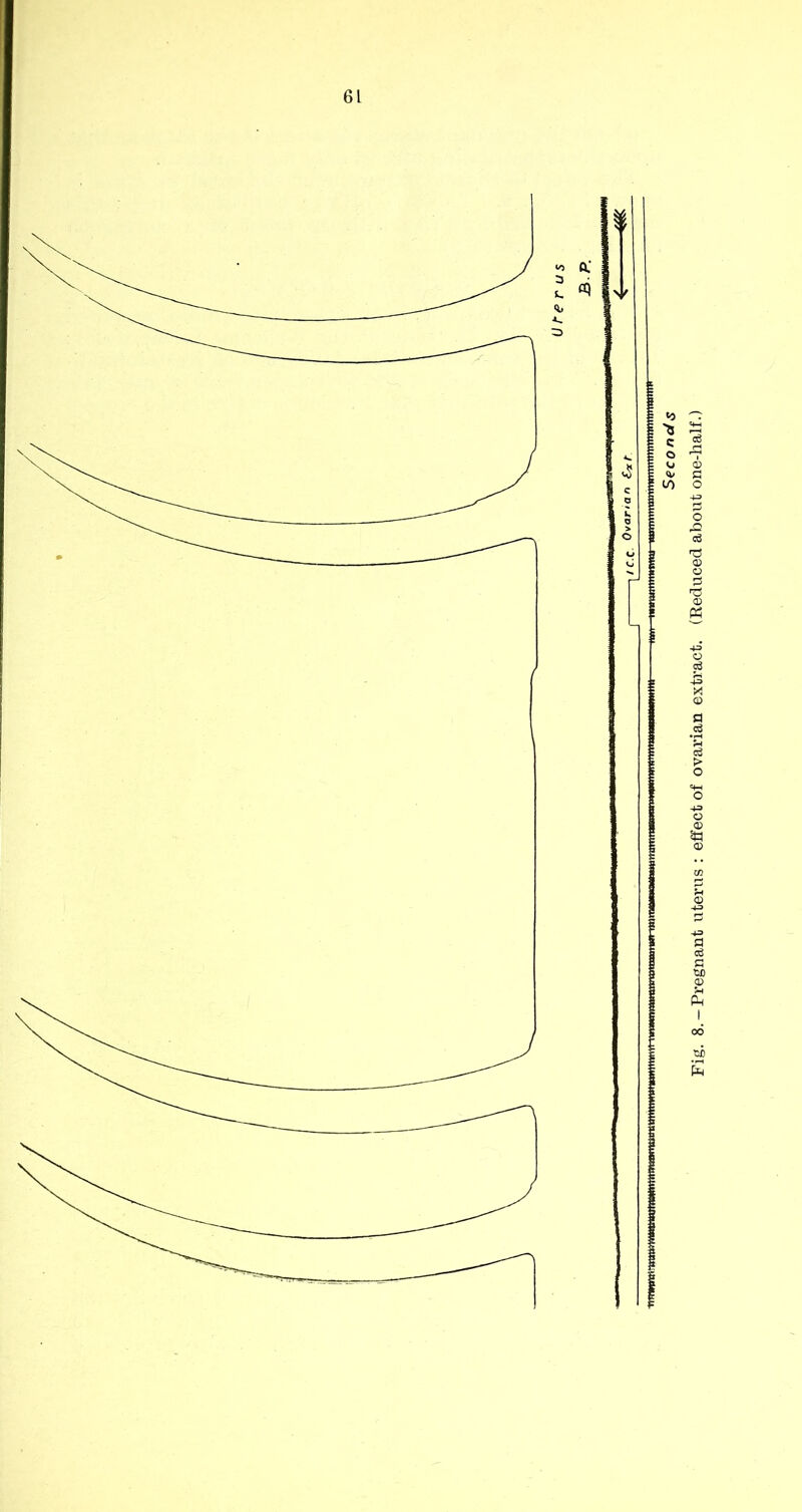 Seconds Fig. 8.-Pregnant uterus : effect of ovarian extract. (Reduced about one-half.)