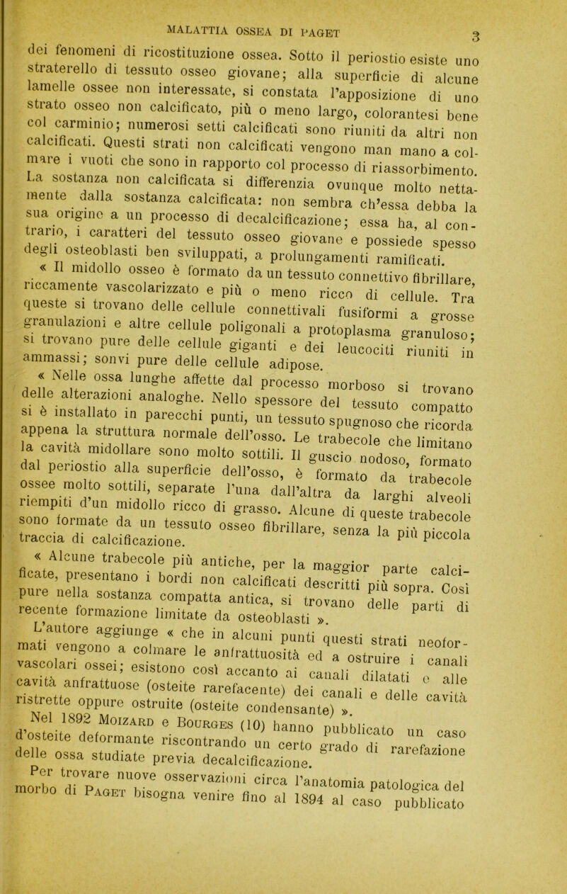 (lei fenomeni di ricostituzione ossea. Sotto il periostio esiste uno straterello di tessuto osseo giovane; alla superficie di alcune lamelle ossee non interessate, si constata l’apposizione di uno strato osseo non calcificato, più o meno largo, colorantesi bene co carminio; numerosi setti calcificati sono riuniti da altri non calcificati. Questi strati non caicificati vengono man mano a col- mare 1 vuoti che sono in rapporto col processo di riassorbimento, •a sostanza non calcificata si differenzia ovunque molto netta- mente dalla sostanza calcificata: non sembra cti’essa debba la sua origine a un processo di decalcificazione; essa ha, al con- ti ano, 1 caratteri del tessuto osseo giovane e possiede spesso degli osteoblasti ben sviluppati, a prolungamenti ramificati « Il midollo osseo è formato da un tessuto connettivo fibrillare riccamente vascolarizzato e più o meno ricco di cellule Tra’ queste SI trovano delle cellule connettivali fusiformi a grosse granulazioni e altre cellule poligonali a protoplasma granuloso- trovano pure delle cellule giganti e dei leucociti riuniti in ammassi; sonvi pure delle cellule adipose « Nelle ossa lunghe affette dal processo morboso si trovano delle al erazioni analoghe. Nello spessore del tessuto compatto si è ins allato in parecchi punti, un tessuto spugnoso che ricorda appena la struttura normale dell’osso. Le trabecole che limitano la cavita midollare sono molto sottili. Il guscio nodose fr. t dal periostio alla superfìcie dell’osso, è formato da ’trah™^i° riempiti d’un midollo ricco di grasso. ,41cune di queste rabecolè sono formate da un tessuto osseo fibrillare senzl L^0^ traccia di calcificazione. ’ ^ P' « Alcune trabecole più antiche, per la maggior parte calci flcate, presentano i bordi non calcificati descritti più sopra Così rt«„ue «pp„„ Nel 1892 Moizard e Bourges (10) hanno i-mithiv + d’osteite deformante riscontrando un certo orado dt °ra delle ossa studiate previa decalciflcaztc^  ^ rarefazione morbo ‘rirplc “r® osservazioni circa l’anatomia patologica del Paoet bisogna venire fino al 1894 al caso pubblicato