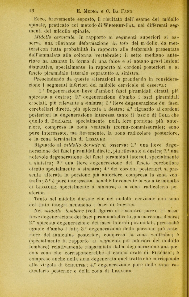 Ecco, brevemente esposto, il risultato delF esame del midollo spinale, praticato col metodo di Weigert-Pal, nei differenti seg- menti del midollo spinale. Midollo cervicale. In rapporto ai segmenti superiori si os- serva una rilevante deformazione in loto del m dolio, da met- tersi con tutta probabilità in rapporto alle deformità presentate dalPammalata alla colonna vertebrale: il setto mediano ante- riore ha assunto la forma di una falce e si notano-gravi lesioni distruttive, specialmente in rapporto ai cordoni posteriori e al fascio piramidale laterale sopratutto a sinistra. Prescindendo da queste alterazioni e prundendo in considera- zione i segmenti inferiori del midollo cervicale si osserva: 1.® Degenerazione lieve d’ambo i fasci piramidali diretti, più spiccata a destra; 2.® degenerazione d’ambo i làsci piramidali crociati, più rilevante a sinistra; 3.® lieve degenerazione dei fasci cerebellari diretti, più spiccata a destra; 4,® riguardo ai cordoni posteriori la degenerazione interessa tanto il fascio di Gole che quello di Burdach. specialmente nella loro porzione più ante- riore, compresa la zona ventralis (cornu-commissurale); sono pure interessate, ma lievemente, la zona radicolare posteriore, e la zona terminalis di Lissauer. Riguardo al midollo dorsale si osserva: 1.'* una lieve dege- nerazione dei fasci piramidali diretti, piu rilevante a destra; ?.® una notevole degenerazione dei fasci piramidali laterali, specialmente a sinistra; 3.® una lieve degenerazione del fascio cerebellare diretto specialmente a sinistra; 4.® dei cordoni posteriori, si pre- senta alterata la porzione più anteriore, compresa la zona ven tralis ; 5.® è pure interessata, benché lievemente la zona terminalis di Lissauer, specialmente a sinistra, e la zona radicolaris po- sterior. Tanto nel midollo dorsale che nel midollo cervicale non sono del tutto integri nemmeno i fasci di Gowers. Nel midollo lombare (vedi figura) si riscontrò pure: 1.® assai lieve degenerazione dei fasci piramidali.di retti, più marcata a destra; 2.® spiccata degenerazione dei fasci laterali piramidali, pressoché eguale d’ambo i lati; 3.® degenerazione della porzione più ante riore del tuniculus posterior, compresa la zona ventralis; è (specialmente in rapporto ai segmenti i>iù inferiori del midollo lombare) relativamente risparmiata dalla degenerazione una pic- cola zona che corrisponderebbe al campo ovale di Flpxhsig; è compreso anche nella z<)na degenerata (juel tratto che corrisponde alla virgola di Schultze; 4.® degenerazione pure delle zone ra- dicularis posterior e della zona di Lissauer.