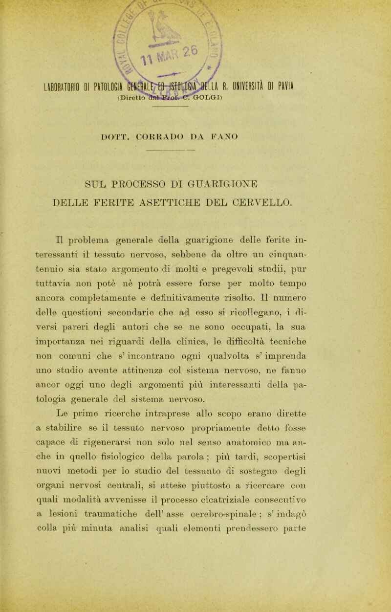 (Diretto ■Pj’ofv-C. GOLGI) DOTT. CORRADO DA FANO SUL PROCESSO DI GUARIGIONE DELLE FERITE ASETTICHE DEL CERVELLO. Il problema generale della guarigione delle ferite in- teressanti il tessuto nervoso, sebbene da oltre un cinquan- tennio sia stato argomento di molti e pregevoli stridii, pur tuttavia non potè nè potrà essere forse per molto tempo ancora completamente e definitivamente risolto. Il numero delle questioni secondarie che ad esso si ricollegano, i di- versi pa.reri degli autori che se ne sono occupati, la sua importanza nei riguardi della clinica, le difficoltà tecniche non comuni che s’ incontrano ogni qualvolta s’imprenda uno studio avente attinenza col sistema nervoso, ne fanno ancor oggi uno degli argomenti più interessanti della pa- tologia generale del sistema nervoso. Le prime ricerche intraprese allo scopo erano dirette a stabilire se il tessuto nervoso propriamente detto fosse capace di rigenerarsi non solo nel senso anatomico ma an- che in quello fisiologico della parola ; più tardi, scopertisi nuovi metodi per lo studio del tessunto di sostegno degli organi nervosi centrali, si attese jDiuttosto a ricercai'e con quali modalità avvenisse il processo cicatriziale consecutivo a lesioni traumatiche dell’ asse cerebro-spinale ; s’ indagò colla più minuta analisi quali elementi prendessero parte