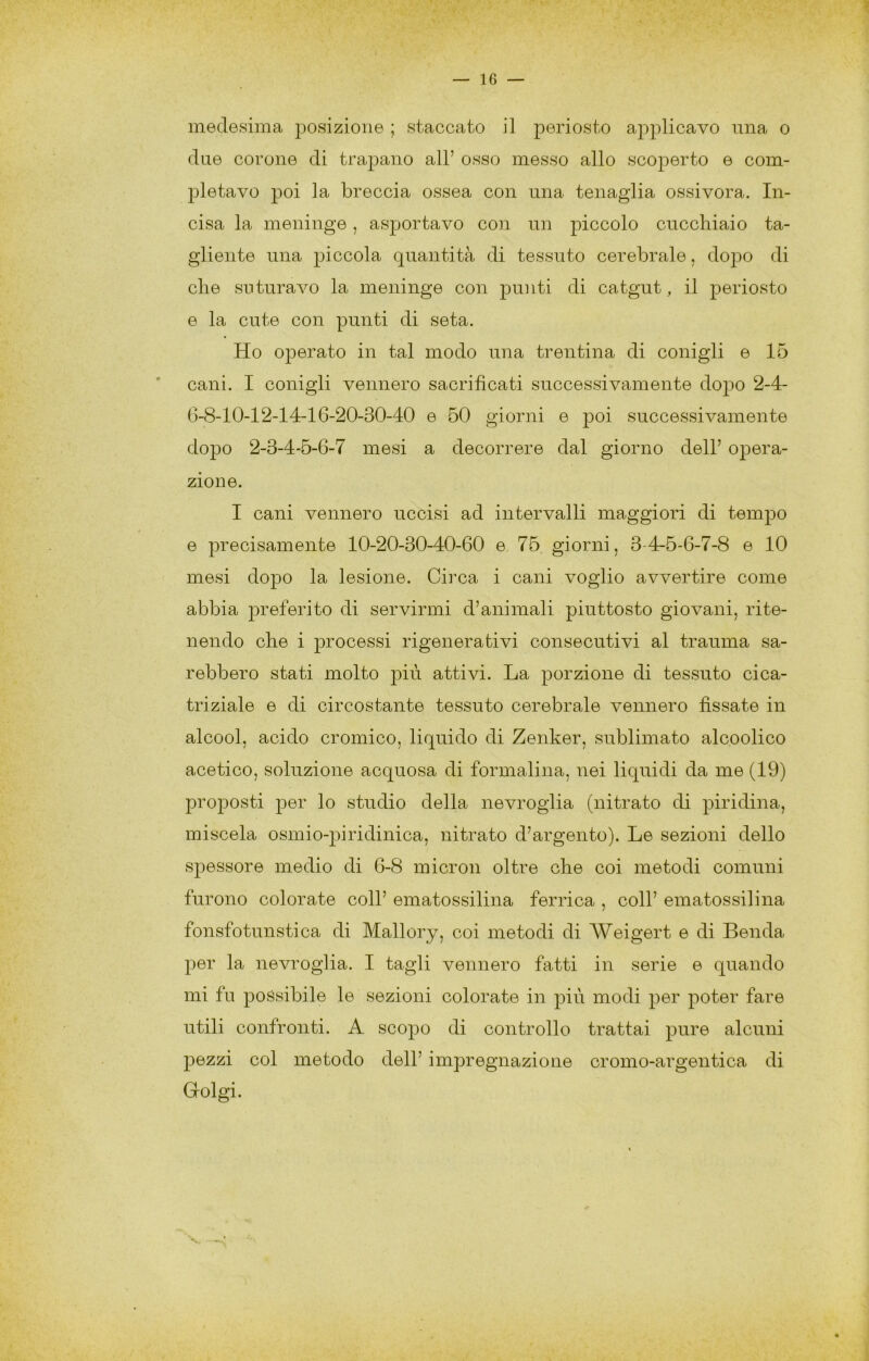 medesima posizione ; staccato il periosto applicavo una o duie corone di trapano all’ osso messo allo scoperto e com- pletavo poi la breccia ossea con una tenaglia ossivora. In- cisa la meninge, asportavo con un piccolo cucchiaio ta- gliente una piccola quantità di tessuto cerebrale, dopo di che suturavo la meninge con punti di catgut, il periosto e la cute con punti di seta. Ho operato in tal modo una trentina di conigli e 15 cani. I conigli vennero sacrificati successivamente dopo 2-4- G-8-10-12-14-16-20-30-40 e 50 giorni e poi successivamente dopo 2-3-4-5-6-7 mesi a decorrere dal giorno dell’ opera- zione. I cani vennero uccisi ad intervalli maggiori di tempo e precisamente 10-20-30-40-60 e 75 giorni, 3-4-5-6-7-8 e 10 mesi dopo la lesione. Circa i cani voglio avvertire come abbia preferito di servirmi d’animali piuttosto giovani, rite- nendo che i processi rigenerativi consecutivi al trauma sa- rebbero stati molto j)iù attivi. La porzione di tessuto cica- triziale e di circostante tessuto cerebrale vennero fissate in alcool, acido cromico, liquido di Zenker, sublimato alcoolico acetico, soluzione acquosa di formalina, nei liquidi da me (19) proposti per lo studio della nevroglia (nitrato di piridina, miscela osmio-piridinica, nitrato d’argento). Le sezioni dello sj)essore medio di 6-8 micron oltre che coi metodi comuni furono colorate coll’ ematossilina ferrica , coll’ ematossilina fonsfotunstica di Mallory, coi metodi di Weigert e di Benda per la nevroglia. I tagli vennero fatti in serie e quando mi fu possibile le sezioni colorate in più modi per poter fare utili confronti. A scopo di controllo trattai pure alcuni pezzi col metodo dell’ impregnazione cromo-argentica di Golgi.