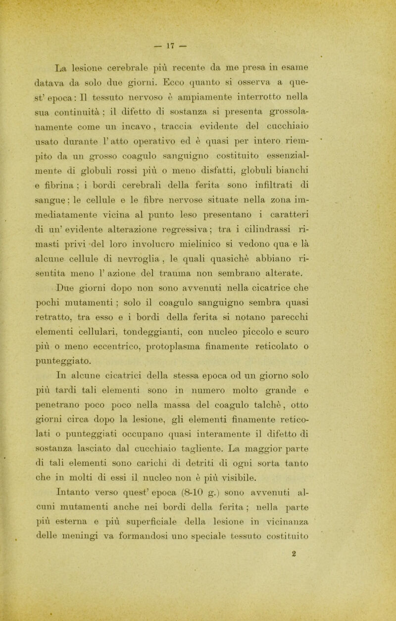La lesione cerebrale più recente da me presa in esame datava da solo due giorni. Ecco (|nanto si osserva a qne- st’epoca: Il tessuto nervoso è ampiamente interrotto nella sua continnità ; il difetto di sostanza si presenta grossola- namente come nn incavo , traccia evidente del cnccliiaio usato durante 1’ atto operativo ed è quasi per intero riem- pito da nn grosso coagulo saiignigno costituito essenzial- mente di globuli rossi più o meno disfatti, globuli bianchi e fibrina ; i bordi cerebrali della ferita sono infiltrati di sangue ; le cellule e le fibre nervose situate nella zona im- mediatamente vicina al punto leso presentano i caratteri di un’ evidente alterazione regressiva ; tra i cilindrassi ri- masti privi del loro involucro mielinico si vedono qua e là alcune cellule di nevroglia , le quali quasiché abbiano ri- sentita meno 1’ azione del trauma non sembrano alterate. Due giorni dopo non sono avvenuti nella cicatrice che pochi mutamenti ; solo il coagulo sanguigno sembra quasi retratto, tra esso e i bordi della ferita si notano parecchi elementi cellulari, tondeggianti, con nucleo piccolo e scuro più o meno eccentrico, protoplasma finamente reticolato o punteggiato. In alcune cicatrici della stessa epoca od nn giorno solo più tardi tali elementi sono in numero molto grande e penetrano poco poco nella massa del coagulo talché, otto giorni circa dopo la lesione, gli elementi finamente retico- lati 0 punteggiati occupano quasi interamente il difetto di sostanza lasciato dal cucchiaio tagliente. La maggior parte di tali elementi sono carichi di detriti di ogni sorta tanto che in molti di essi il nucleo non é più visibile. Intanto verso quest’ epoca (8-10 g.) sono avvenuti al- cuni mutamenti anche nei bordi della ferita ; nella parte più esterna e più superficiale della lesione in vicinanza delle meningi va formandosi uno speciale tessuto costituito 2