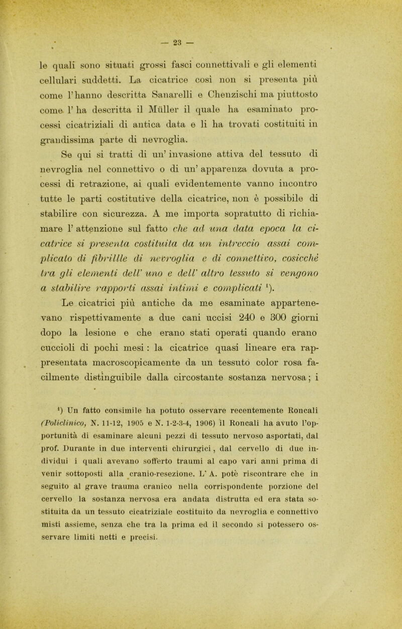 le quali sono situati grossi fasci connettivali e gli elementi cellulari suddetti. La cicatrice cosi non si presenta più come rhanno descritta Sanarelli e Clienzisclii ma piuttosto come. V ha descritta il Miiller il quale ha esaminato pro- cessi cicatriziali di antica data e li ha trovati costituiti in grandissima parte di nevroglia. Se qui si tratti di un’ invasione attiva del tessuto di nevroglia nel connettivo o di un’ apparenza dovuta a pro- cessi di retrazione, ai quali evidentemente vanno incontro tutte le parti costitutive della cicatrice, non è possibile di stabilire con sicurezza. A me importa sopratutto di richia- mare 1’ attenzione sul fatto che ad una data epoca la ci- catrice si presenta costituita da un intreccio assai com- plicato di flbrillle di nevroglia e di connettivo, cosicché tra gli elementi delV uno e deir altro tessuto si vengono a stahilÌ7''e rapporti assai intimi e complicati ^). Le cicatrici più antiche da me esaminate appartene- vano rispettivamente a due cani uccisi 240 e 300 giorni dopo la lesione e che erano stati operati quando erano cuccioli di pochi mesi : la cicatrice quasi lineare era rap- presentata macroscopicamente da un tessuto color rosa fa- cilmente distinguibile dalla circostante sostanza nervosa ; i « 0 Un fatto consimile ha potuto osservare recentemente Roncali (Policlinico^ R. 11-12, 1905 e N. 1-2-3-4, 1906) il Roncali ha avuto l’op- portunità di esaminare alcuni pezzi di tessuto nervoso asportati, dal prof. Durante in due interventi chirurg-ici, dal cervello di due in- dividui i quali avevano sofferto traumi al capo vari anni prima di venir sottoposti alla cranio-resezione. L’ A. potò riscontrare che in seguito al grave trauma cranico nella corrispondente porzione del cervello la sostanza nervosa era andata distrutta ed era stata so- stituita da un tessuto cicatriziale costituito da nevroglia e connettivo misti assieme, senza che tra la prima ed il secondo si potessero os- servare limiti netti e precisi.