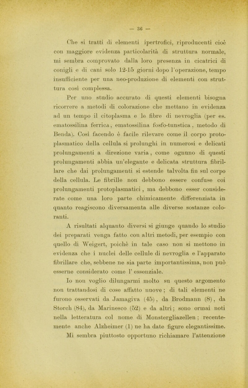 Olle si tratti di elementi ipertrofici, riprodncenti cioè con maggiore evidenza particolarità di struttura normale, mi sembra comprovato dalla loro presenza in cicatrici di conigli e di cani solo 12-15 giorni dopo Toperazione, tempo insufficiente per una neo-produzione di elementi con strut- tura cosi complessa. Per uno studio accurato di questi elementi bisogna ricorrere a metodi di colorazione che mettano in evidenza ad un tempo il citoplasma e le fibre di nevroglia (per es. ematossilina ferrica, ematossilina fosfo-tunstica . metodo di Benda). Così facendo è facile rilevare come il corpo proto- plasmatico della cellula si prolunghi in numerosi e delicati prolungamenti a direzione varia, come ognuno di questi prolungamenti abbia un’elegante e delicata struttura fibril- lare che dai prolungamenti si estende talvolta fin sul corpo della cellula. Le fibrille non debbono essere confuse coi prolungamenti protoplasmatici , ma debbono esser conside- rate come una loro parte chimicamente differenziata in quanto reagiscono diversamenta alle diverse sostanze colo- ranti. A risultati alquanto diversi si giunge quando lo studio dei preparati venga fatto con altri metodi, jDer esempio con quello di AAeigert, poiché in tale caso non si mettono in evidenza che i nuclei delle cellule di nevroglia e l’apparato fibrillare che, sebbene ne sia parte importantissima, non può esserne considerato come 1’ essenziale. Io non voglio dilungarmi molto su questo argomento non trattandosi di cose affatto nuove ; di tali elementi ne furono osservati da Jamagiva (45) , da Brodmann (8) , da Stordì (84), da Marinesco (52) e da altri; sono ormai noti nella letteratura col nome di Monstergliazellen ; recente- mente anche Alzheimer (1) ne ha date figure elegantissime. Mi sembra piuttosto opportuno richiamare l’attenzione