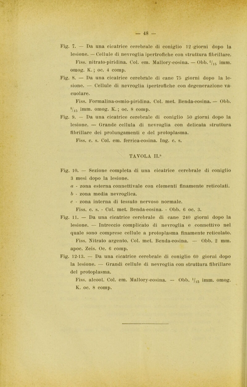 Fi^^. 7. — Da una cicatrice cerebrale di coniglio 12 giorni dopo la lesione. — Cellule di nevroglia ipertrofiche con struttura fibrillare. Fiss. nitrato-piridina. Col. em. Mallory-eosina. — Obb. V15 imm. oraog. K. ; oc. 4 comp. Fig. 8. — Da una cicatrice cerebrale di cane 75 giorni dopo la le- sione. — Cellule di nevroglia ipertrofiche con degenerazione va- cuolare. Fiss. Formalina-osmio-piridina. Col. met. Benda-eosina. — Obb. Vi5 imm. omog. K. ; oc. 8 comp. Fig. 9. — Da una cicatrice cerebrale di coniglio 50 giorni dopo la lesione. — Grande cellula di nevroglia con delicata struttura fibrillare dei prolungamenti e del protoplasma. Fiss. c. s. Col. em. ferrica-eosina. Ing. c. s. TAVOLA II.^ Fig. 10. — Sezione completa di una cicatrice cerebrale di coniglio 3 mesi dopo la lesione. a - zona esterna connettivale con elementi finamente reticolati. h - zona media nevroglica. c - zona interna di tessuto nervoso normale. Fiss. c. s. - Col. met. Benda-eosina. - Obb. 6 oc. 3. Fig. 11. — Da una cicatrice cerebrale di cane 240 giorni dopo la lesione. — Intreccio complicato di nevroglia e connettivo nel quale sono comprese cellule a protoplasma finamente reticolato. Fiss. Nitrato argento. Col. met. Benda-eosina. — Obb. 2 min. apoc. Zeis. Oc. 6 comp. Fig. 12-13. — Da una cicatrice cerebrale di Coniglio 60 giorni dopo la lesione. — Grandi cellule di nevroglia con struttura fibrillare del protoplasma. Fiss. alcool. Col. em. Mallory-eosina. — Obb. ‘/15 imm. omog. K. oc. 8 comp.