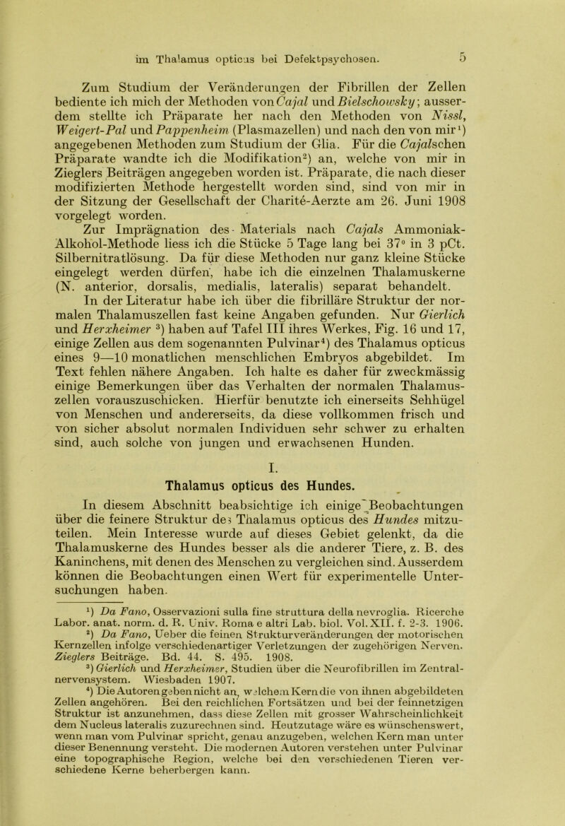 Zum Studium der Veränderungen der Fibrillen der Zellen bediente ich mich der Methoden vonCajal undBielschowsky \ ausser- dem stellte ich Präparate her nach den Methoden von Nissl, Weigert-Pal und Pappenheim (Plasmazellen) und nach den von mir1) angegebenen Methoden zum Studium der Glia. Für die Cajalschen Präparate wandte ich die Modifikation2) an, welche von mir in Zieglers Beiträgen angegeben worden ist. Präparate, die nach dieser modifizierten Methode hergestellt worden sind, sind von mir in der Sitzung der Gesellschaft der Charite-Aerzte am 26. Juni 1908 vorgelegt worden. Zur Imprägnation des - Materials nach Cajals Ammoniak- Alkoliol-Methode liess ich die Stücke 5 Tage lang bei 37° in 3 pCt. Silbernitratlösung. Da für diese Methoden nur ganz kleine Stücke eingelegt werden dürfen, habe ich die einzelnen Thalamuskerne (N. anterior, dorsalis, medialis, lateralis) separat behandelt. In der Literatur habe ich über die fibrilläre Struktur der nor- malen Thalamuszellen fast keine Angaben gefunden. Nur Gierlich und Herxheimer 3) haben auf Tafel III ihres Werkes, Fig. 16 und 17, einige Zellen aus dem sogenannten Pulvinar4) des Thalamus opticus eines 9—10 monatlichen menschlichen Embryos abgebildet. Im Text fehlen nähere Angaben. Ich halte es daher für zweckmässig einige Bemerkungen über das Verhalten der normalen Thalamus- zellen vorauszuschicken. Hierfür benutzte ich einerseits Sehhügel von Menschen und andererseits, da diese vollkommen frisch und von sicher absolut normalen Individuen sehr schwer zu erhalten sind, auch solche von jungen und erwachsenen Hunden. I. Thalamus opticus des Hundes. In diesem Abschnitt beabsichtige ich einige Beobachtungen über die feinere Struktur de3 Thalamus opticus des Hundes mitzu- teilen. Mein Interesse wurde auf dieses Gebiet gelenkt, da die Thalamuskerne des Hundes besser als die anderer Tiere, z. B. des Kaninchens, mit denen des Menschen zu vergleichen sind. Ausserdem können die Beobachtungen einen Wert für experimentelle Unter- suchungen haben. *) Da Fano, Osservazioni sulla fine struttura della nevroglia. Ricerche Labor, anat. norm. d. R. Univ. Roma e altri Lab. biol. Vol.Xli. f. 2-3. 1906. 2) Da Fano, Ueber die feinen Strukturveränderungen der motorischen Kernzellen infolge verschiedenartiger Verletzungen der zugehörigen Nerven. Zieglers Beiträge. Bd. 44. S. 495. 1908. 3) Gierlich und Herxheimer, Studien über die Neurofibrillen im Zentral- nervensystem. Wiesbaden 1907. 4) Die Autoren geben nicht an, welchem Kern die von ihnen abgebildeten Zellen angehören. Bei den reichlichen Fortsätzen und bei der feinnetzigen Struktur ist anzunehmen, dass diese Zellen mit grosser Wahrscheinlichkeit dem Nucleus lateralis zuzurechnen sind. Heutzutage wäre es wünschenswert, wenn man vom Pulvinar spricht, genau anzugeben, welchen Kern man unter dieser Benennung versteht. Die modernen Autoren verstehen unter Pulvinar eine topographische Region, welche bei den verschiedenen Tieren ver- schiedene Kerne beherbergen kann.