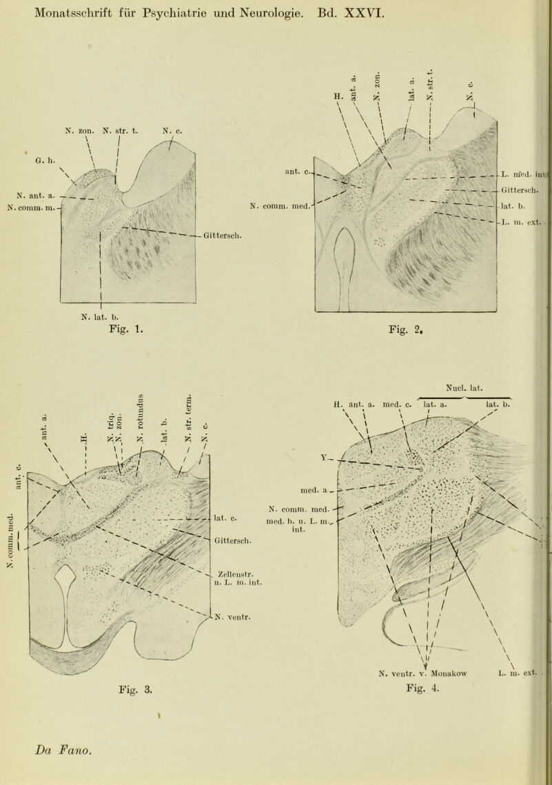 comm.med Gittersch. Nucl. lat. I I H. ant. a. nied. c. lat. a. \ • \ / lat. b. * lat. c. Gittersch. Zellenstr. u. L. m. int. N. ventr. med. a N. comm. raed. med- b. u. L. m.„ int. \jI 1 N. ventr. v. Monakow Fig. 4. \ L. m. ext. Da Fano