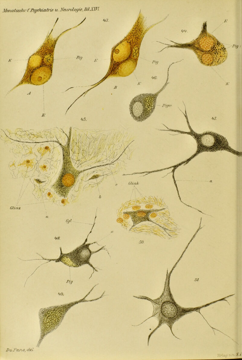 Vonutssdu.' f.Jtychiati'ie u. Neurologie, MX UI GHak frhaz f«w5: S§ m M DosFouru), d-Fl Tu'la.o
