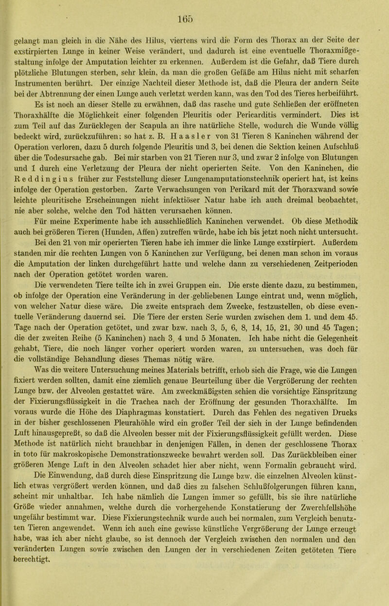 gelangt man gleich in die Nähe des Hilus, viertens wird die Form des Thorax an der Seite der exstkpierten Limge m keiner Weise verändert, und dadurch ist eine eventuelle Thoraxmißge- staltung infolge der Amputation leichter zu erkennen. Außerdem ist die Gefahr, daß Tiere durch plötzliche Blutungen sterben, sehr klein, da man die großen Gefäße am Hilus nicht mit scharfen Instrumenten berührt. Der einzige Nachteil dieser Methode ist, daß die Pleura der andern Seite bei der Abtreimung der einen Lunge auch verletzt werden kann, was den Tod des Tieres herbeiführt. Es ist noch an dieser Stelle zu erwähnen, daß das rasche und gute Schließen der eröffneten Thoraxliälfte die Möglichkeit emer folgenden Pleuritis oder Pericarditis vermindert. Dies ist zum Teil auf das Zinücklegen der Scapula an ihre natürliche Stelle, wodurch die Wunde völlig bedeckt wird, zurückzufüliren; so hat z. B. H a a s 1 e r von 31 Tieren 8 Kaninchen während der Operation verloren, dazu 5 durch folgende Pleuritis und 3, bei denen die Sektion keinen Aufschluß über die Todesursache gab. Bei nür starben von 21 Tieren nur 3, und zwar 2 infolge von Blutungen imd 1 dm-ch eme Verletzung der Pleura der nicht operierten Seite. Von den Kaninchen, die Reddingius früher zm- Feststelhmg dieser Lungenamputationstechnik operiert hat, ist keins infolge der Operation gestorben. Zarte Verwachsungen von Perikard mit der Thoraxwand sowie leichte pleuritische Erscheinungen nicht infektiöser Natiu habe ich auch dreimal beobachtet, nie aber solche, welche den Tod hätten verursachen köimen. Für meine Experimente habe ich ausschließlich Kaninchen verwendet. Ob diese Methodik auch bei größeren Tieren (Hunden, Affen) zutreffen würde, habe ich bis jetzt noch nicht untersucht. Bei den 21 von nüi* operierten Tieren habe ich immer die linke Lunge exstirpiert. Außerdem standen mh* die rechten Lungen von 5 Kaninchen zm- Verfügung, bei denen man schon im voraus die xAmputation der linken dmehgeführt hatte und welche dami zu verschiedenen Zeitperioden nach der Operation getötet worden waren. Die verwendeten Tiere teilte ich in zwei Gruppen em. Die erste diente dazu, zu bestimmen, ob infolge der Operation eine Veränderung in der-gebhebenen Lunge eintrat und, wenn möglich, von welcher Natur diese wäre. Die zweite entsprach dem Zwecke, festzustellen, ob diese even- tuelle Veränderimg dauernd sei. Die Tiere der ersten Serie wurden zwischen dem 1. und dem 45. Tage nach der Operation getötet, und zwar bzw. nach 3, 5, 6, 8, 14, 15, 21, 30 und 45 Tagen; die der zweiten Reihe (5 Kaninchen) nach 3^ 4 und 5 Monaten. Ich habe nicht die Gelegenheit gehabt, Tiere, die noch länger vorher operiert worden waren, zu untersuchen, was doch für die vollständige Behandlung dieses Themas nötig wäre. Was die weitere Untersuchung meines Materials betrifft, erhob sich die Frage, wie die Lmigen fixiert werden sollten, damit eine ziemlich genaue Beurteilung über die Vergrößerung der rechten Lunge bzw. der Alveolen gestattet wäre. Am zweckmäßigsten schien die vorsichtige Einspritzung der Fixierungsflüssigkeit in die Trachea nach der Eröffnung der gesunden Thoraxhälfte. Im voraus wurde die Höhe des Diaphragmas konstatiert. Durch das Fehlen des negativen Drucks in der bisher geschlossenen Pleurahöhle wü-d ein großer Teil der sich in der Lunge befindenden Luft hinausgepreßt, so daß die Alveolen besser mit der Fixierungsflüssigkeit gefüllt werden. Diese Methode ist natürlich nicht brauchbar in denjenigen Fällen, in denen der geschlossene Thorax in toto für makroskopische Demonstrationszwecke bewahrt werden soU. Das Zurückbleiben einer größeren Menge Luft in den Alveolen schadet hier aber nicht, weim Formalin gebraucht wird. Die Einwendung, daß durch diese Einspritzung die Lunge bzw. die emzehien Alveolen künst- lich etwas vergrößert werden können, und daß dies zu falschen Schlußfolgerungen führen kann, scheint mir unlialtbar. Ich habe nämlich die Lungen immer so gefüllt, bis sie üire natürliche Größe wieder annahmen, welche durch die vorhergehende Konstatierung der Zwerchfellshöhe ungefälu bestimmt war. Diese Fixierungstechnik wurde auch bei normalen, zum Vergleich benutz- ten Tieren angewendet. Wenn ich auch eine gewisse künstliche Vergrößerung der Lunge erzeugt habe, was ich aber nicht glaube, so ist dennoch der Vergleich zwischen den normalen und den veränderten Lungen sowie zwischen den Lungen der in verschiedenen Zeiten getöteten Tiere berechtigt.