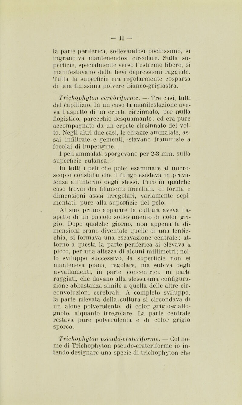la parte periferica, sollevandosi pochissimo, si ingrandiva mantenendosi circolare. Sulla su- perficie, specialmente verso l’estremo libero, si manifestavano delle lievi depressioni raggiate. Tutta la superficie era regolarmente cosparsa di una finissima polvere bianco-grigiastra. Trichophyton cerebriforme. — Tre casi, tutti del capillizio. In un caso la manifestazione ave- va l’aspetto di un erpete circinnato, per nulla flogistico, pare echio desquamante : ed era pure accompagnato da un erpete circinnato del vol- to. Negli altri due casi, le chiazze ammalate, as- sai infiltrate e gementi, stavano frammiste a focolai eli impetigine. 1 peli ammalati sporgevano per 2-3 inni, sulla superficie cutanea. In tutti i peli che potei esaminare al micro- scopio constatai che il fungo esisteva in preva- lenza aH’interno degli stessi. Però in qualche caso trovai dei filamenti miceliali, di forma e dimensioni assai irregolari, variamente sepi- meintati, pure alla superficie del pelo. Al suo primo apparire la cultura aveva l’a- spetto di un piccolo sollevamento di color gri- gio. Dopo qualche giorno, non appena le di- mensioni erano diventate quelle di una lentic- chia, si formava una escavatone centrale : at- torno a questa la parte periferica si elevava a picco, per una altezza di alcuni millimetri; nel- lo sviluppo successivo, la superficie non si manteneva piana, regolare, ma subiva degli avvallamenti, in parte concentrici, in parte raggiati, che davano alla stessa una configura- zione abbastanza simile a quella delle altre cir- convoluzioni cerebrali. A completo sviluppo, la parte rilevata della cultura si circondava di un alone polverulento, di color grigio-giallo- gnolo, alquanto irregolare. La parte centrale restava pure polverulenta e di color grigio sporco. Trichophyton pseudo-craleriforme. — Gol no- me di Trichophyton pseudo-crateriforme io in- tendo designare una specie di trichophyton che