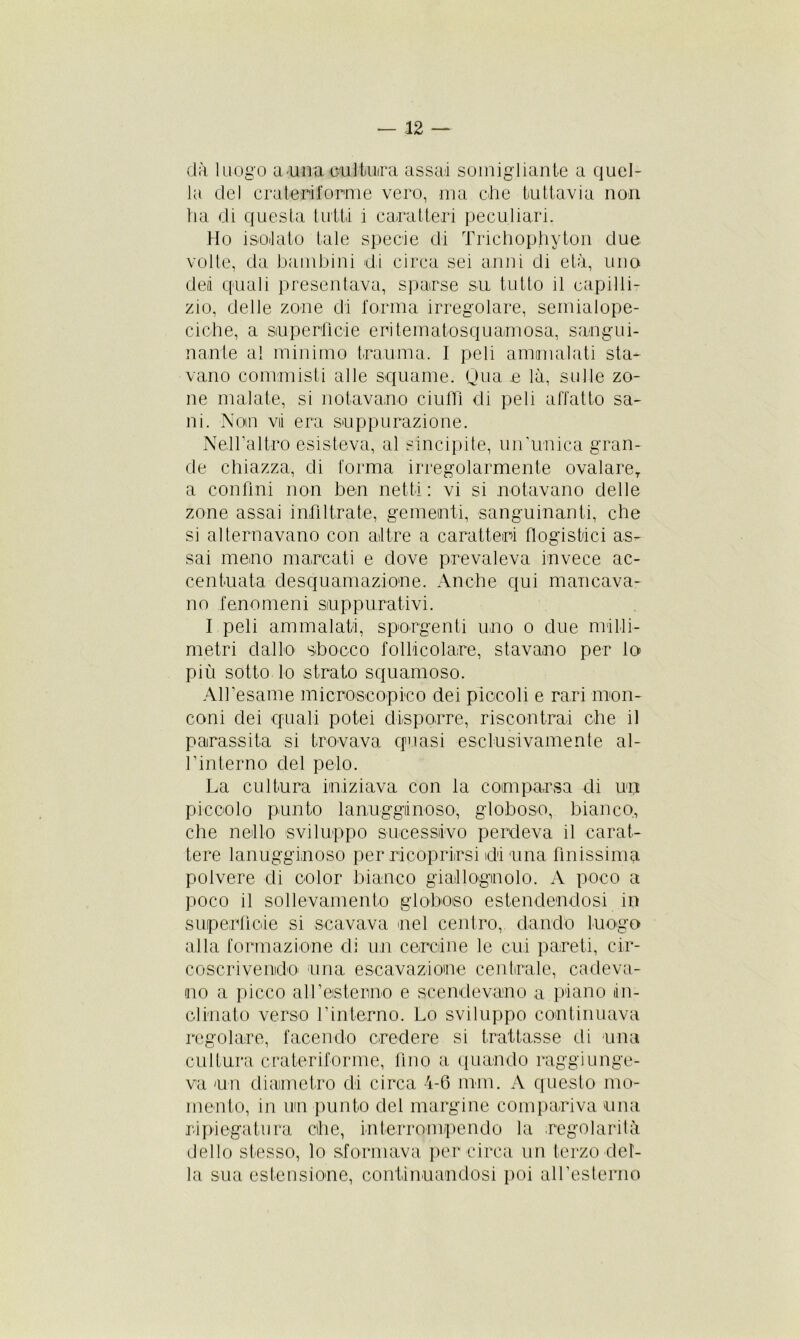 dà luogo a una cultura assai somigliante a quel- la del crateriforme vero, ma che tuttavia non ha di questa tutti i caratteri peculiari. Ho isolato tale specie di Trichophyton due volte, da bambini di circa sei anni di età, una dei quali presentava, sparse su tutto il capilli- zio, delle zone di forma irregolare, semialope- ciche, a superficie eritematosquamosa, sangui- nante a! minimo trauma. I peli ammalati sta- vano commisti alle squame. Qua e là, sulle zo- ne malate, si notavano ciuffi di peli affatto sa- ni. Non vii era suppurazione. Nell’altro esisteva, al sincipite, un'unica gran- de chiazza, di forma irregolarmente ovalareT a confini non ben netti: vi si notavano delle zone assai infiltrate, gementi, sanguinanti, che si alternavano con altre a caratteri flogistici as- sai meno marcati e dove prevaleva invece ac- centuata desquamazione. Anche qui mancava- no fenomeni suppurativi. I peli ammalati, sporgenti uno o due milli- metri dallo sbocco follicolare, stavano per lo più sotto lo strato squamoso. All’esame microscopico dei piccoli e rari mon- coni dei quali potei disporre, riscontrai che il parassita si trovava quasi esclusivamente al- l’interno del pelo. La cultura iniziava con la comparsa di un piccolo punto lanugginoso, globoso, bianco, che nello sviluppo sucessiivo perdeva il carat- tere lanugginoso per ricoprirsi di una finissima polvere di color bianco giallognolo. A poco a poco il sollevamento globoso estendendosi in superfìcie si scavava nel centro, dando luogo alla formazione di un cercine le cui pareti, cir- coscrivendo una escavatone centrale, cadeva- no a picco all’esterno e scendevano a plano (in- clinato verso l’interno. Lo sviluppo continuava regolare, facendo credere si trattasse di una cultura crateriforme, fino a quando raggiunge- va un diametro di circa 4-6 min. A questo mo- mento, in un punto del margine compariva una ripiegatura che, interrompendo la regolarità dello stesso, lo sformava per circa un terzo del- la sua estensione, continuandosi poi all’esterno
