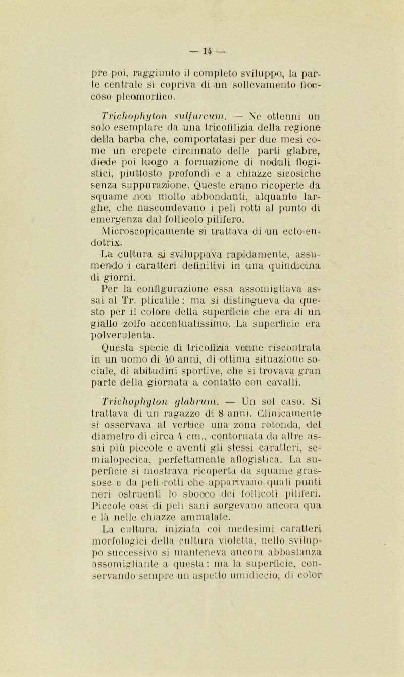 pre poi, raggiunto il completo sviluppo*, la par- te centrale si copriva di un sollevamento fioc- coso pleomortfico. Tricliophyton sulfureum. ■— Ne ottenni un solo esemplare da una tricomiz;ia della regione della barba che, comportatasi per due mesi co- me un erepete circinnato delle parti glabre, diede poi luogo a formazione di noduli flogi- stici, piuttosto profondi e a chiazze sicosiche senza suppurazione. Queste erano ricoperte da squame non molto abbondanti, alquanto lar- ghe, che nascondevano i peli rotti al punto di emergenza dal follicolo pilifero. Microscopicamente sa trattava di un ecto-en- dotrix. La cultura si sviluppava rapidamente, assu- mendo i caratteri definitivi in una quindicina di giorni. Per la configurazione essa assomigliava as- sai al Tr. placatile : ma si distingueva da que- sto per il colore della superficie che era di un giallo zolfo accentuatissimo. La superficie era polverulenta. Questa specie di tricofizia venne riscontrata in un uomo di 40 anni, di ottima situazione so- ciale, di abitudini sportive, che si trovava gran parte della giornata a contatto con cavalli. Trichopliyton glabrum. — Lui sol caso. Si trattava di un ragazzo di 8 anni. Clinicamente si osservava al vertice una zona rotonda, del diametro di circa 4 citi., contornata da altre as- sai più piccole e aventi gli stessi caratteri, se- mialopecica, perfettamente aflogistica. La su- perficie si mostrava ricoperta da squame gras- sose e da peli rotti che apparivano quali punti neri ostruenti lo sbocco dei follicoli piliferi. Piccole oasi di peli sani sorgevano ancora qua e là nelle chiazze ammalate. La cultura, iniziata coi medesimi caratteri morfologici della cultura violetta, nello svilup- po successivo si manteneva ancora abbastanza assomigliante a questa: ma la superficie, con- servando sempre un aspetto umidiccio, di color