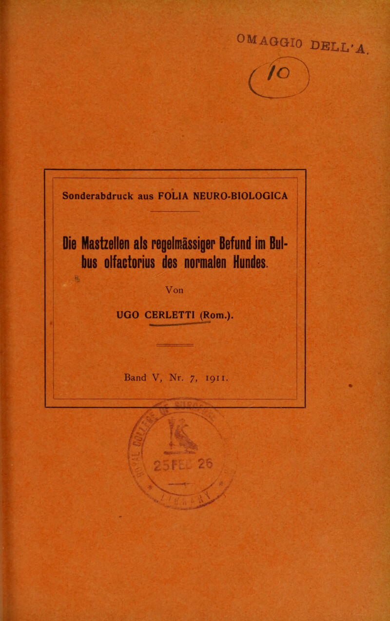 OMAQGIO Sonderabdruck aus FOLIA NEURO-BIOLOGICA Die Mastzellen als regelmässiger Befund im Bul- bus olfactorius des normalen Hundes. Von UGO CERLETTI (Rom.). Band V, Nr, 7, 1911. DELL'A. 1