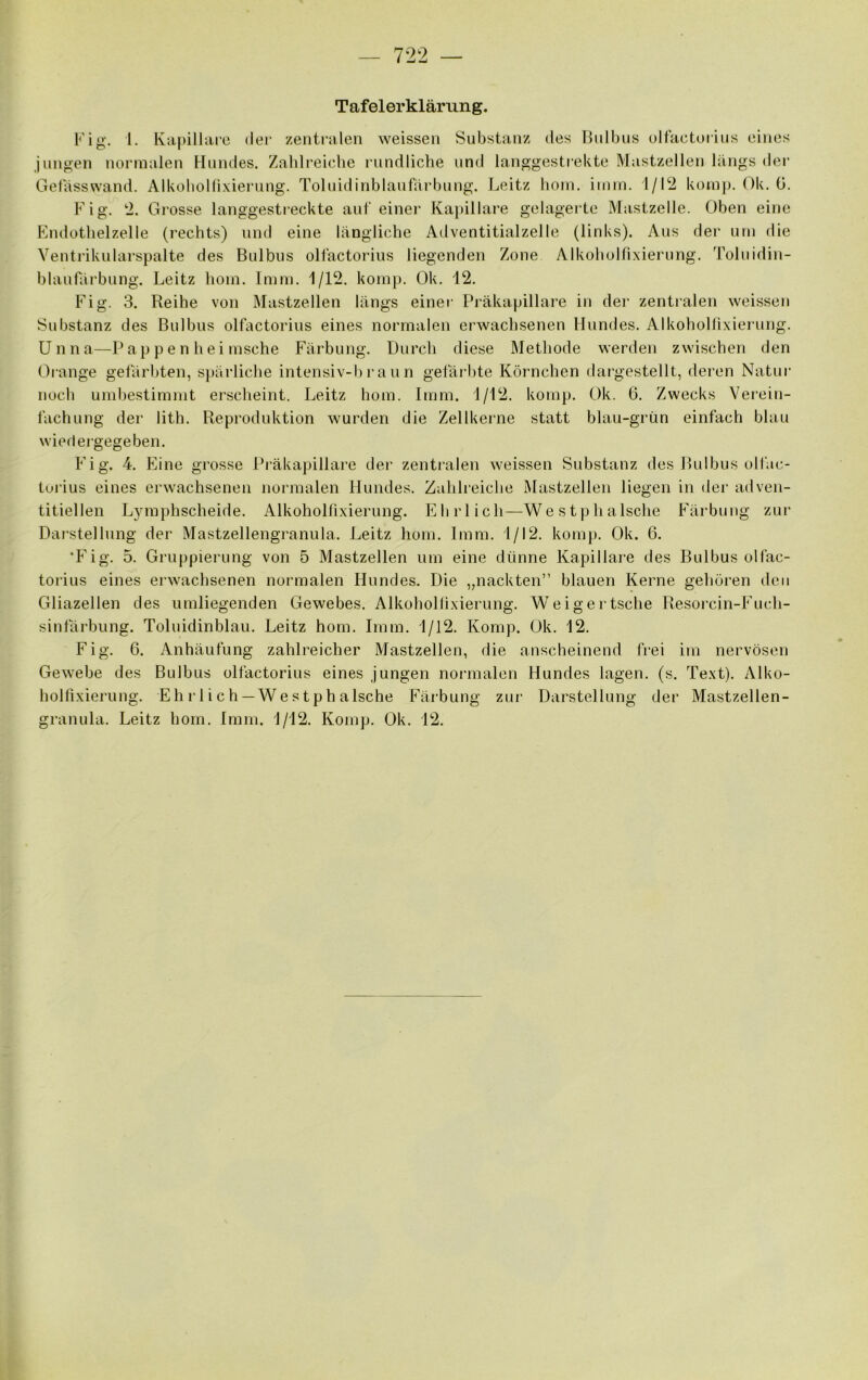 — 722 — Tafelerklärung. Kig. 1. Kapillare der zentralen weissen Substanz des Bulbus ülfactorius eines jungen normalen Hundes. Zahlreiche rundliche und langgestiekte Mastzellen längs der Gefässwand. AlkohoKixierung. Toluidinblaufärbung. Leitz hoin. imm. 1/12 komp. Ok. ü. Fig. 2. Grosse langgestreckte aut einer Kapillare gelagei te Mastzelle. Oben eine Endothelzelle (rechts) und eine längliche Adventitialzelle (links). Aus der um die Ventrikularspalte des Bulbus oBäctorius liegenden Zone Alkoholfixierung. Toluidin- blaufärbung. Leitz hom. Imm. 1/12. komp. Ok. 12. Fig. 3. Reihe von Mastzellen längs einer Präkapillar’e in der zentralen weissen Substanz des Bulbus olfactorius eines normalen erwachsenen Hundes. Alkoholli.vierung. Unna—Pappe n hei msche Färbung. Durch diese Methode werden zwischen den Orange gefärbten, spärliche intensiv-!)raun getäiFte Körnchen dargestellt, deren Natui- noch umbestimmt erscheint. Leitz hom. Imm. 1/12. komp. Ok. 6. Zwecks Vei’cin- lächung der lith. Reproduktion wurden die Zellkerne statt blau-grün einfach blau wied eigegeben. Fig. 4. Eine grosse Präkapillare der zentralen weissen Substanz des Bulbus oUäc- torius eines erwachsenen normalen Hundes. Zahlreiche Mastzellen liegen in dei’ adven- titiellen L^unphscheide. Alkoholfixierung. Ehrlich—Westphalsche Färbung zur Darstellung der Mastzellengraniila. Leitz hom. Imm. 1/12. komp. Ok. 6. •Fig. 5. Gruppierung von 5 Mastzellen um eine dünne Kapillare des Bulbus olfac- torius eines erwachsenen normalen Hundes. Die „nackten” blauen Kerne gehören den Gliazellen des umliegenden Gewebes. Alkohollixierimg. Weigertsche Resorcin-Fuch- sinfärbung. Toluidinblau. Leitz hom. Imm. 1/12. Komp. Ok. 12. Fig. 6. Anhäufung zahlreicher Mastzellen, die anscheinend frei im nervösen Gewebe des Bulbus olfactorius eines Jungen normalen Hundes lagen, (s. Text). Alko- holfixierung. Eh r 1 i c h—We s t ph aIsche Färbung zur Darstellung der Mastzellen- granula. Leitz hom. Imm. 1/12. Komp. Ok. 12.